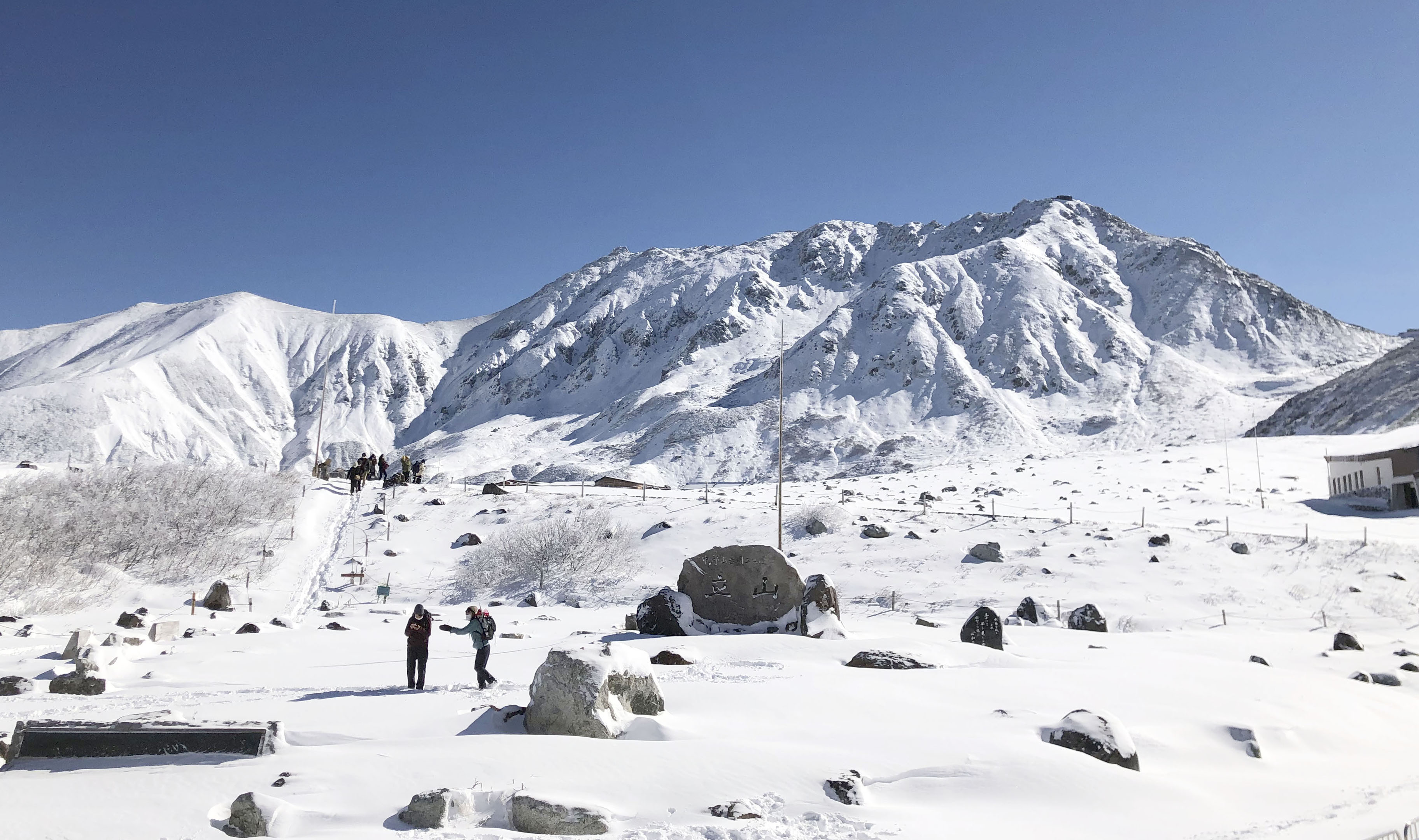 冠雪の島 冠雪の山 冠雪の森 冠雪の平地 冠雪の沼 アイスエイジ 冠雪地形-