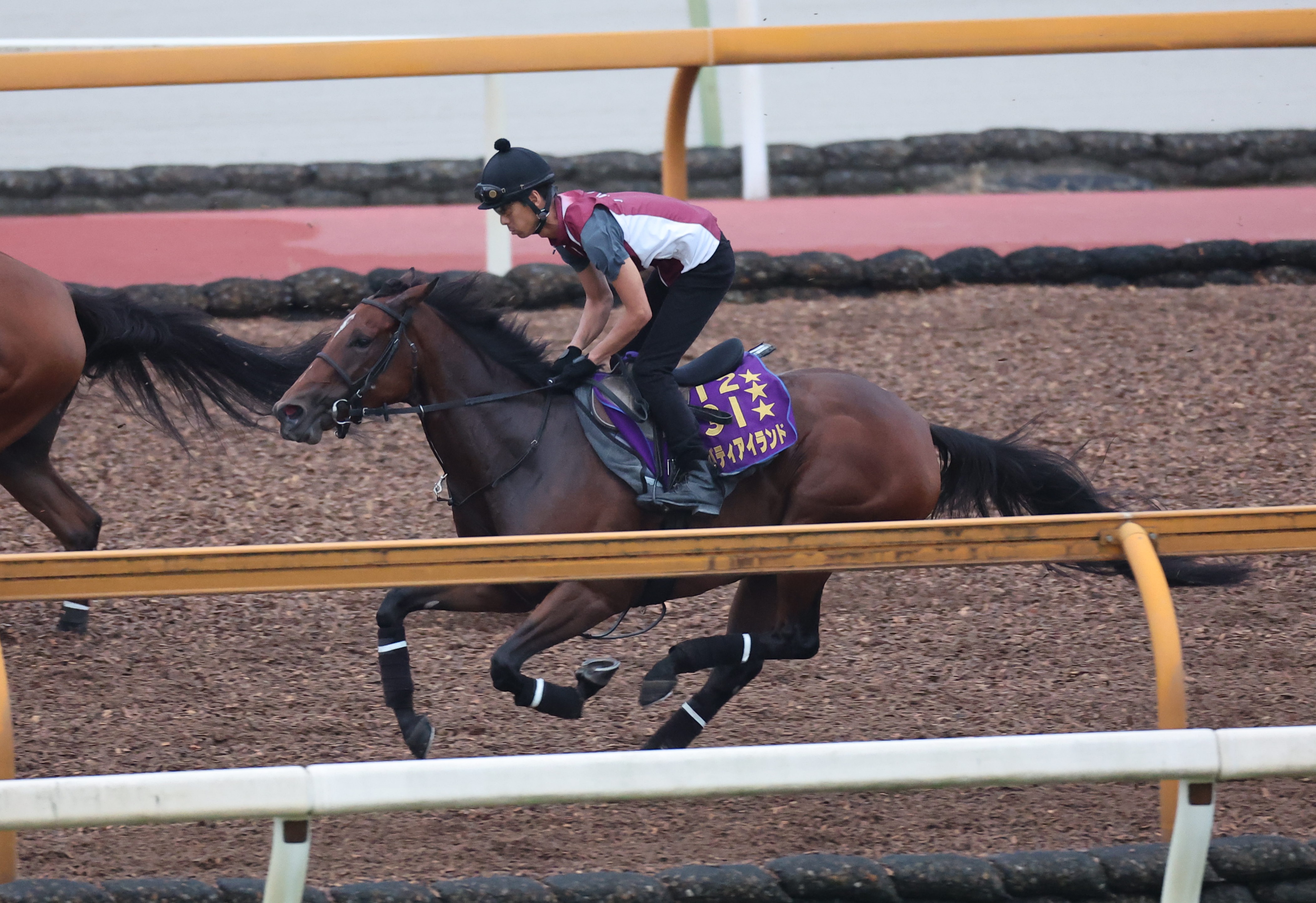 【秋華賞】リバティアイランド牝馬３冠に照準