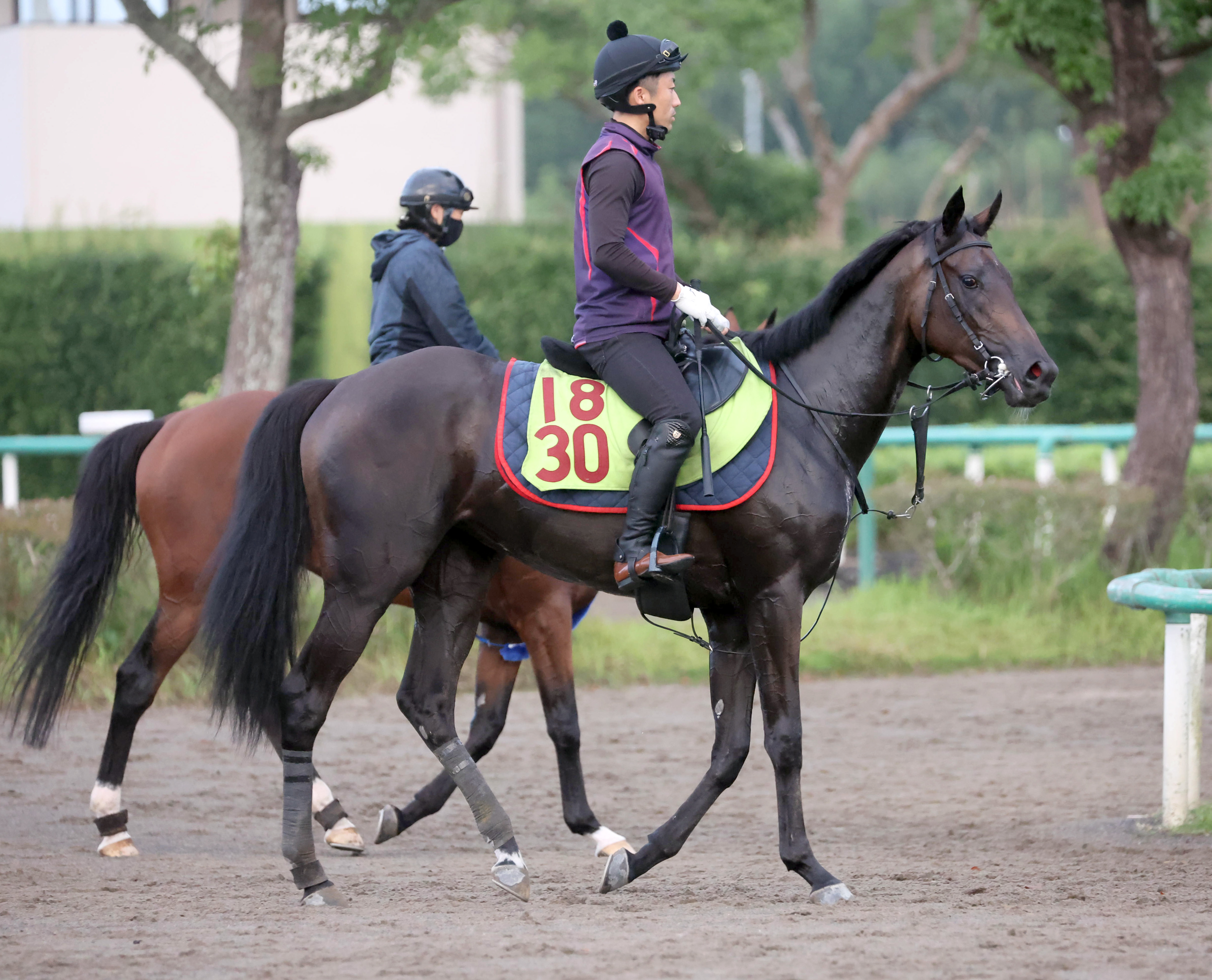 今週の注目新馬】モンローウォークの母は豪GⅠ・MRC1000ギニー