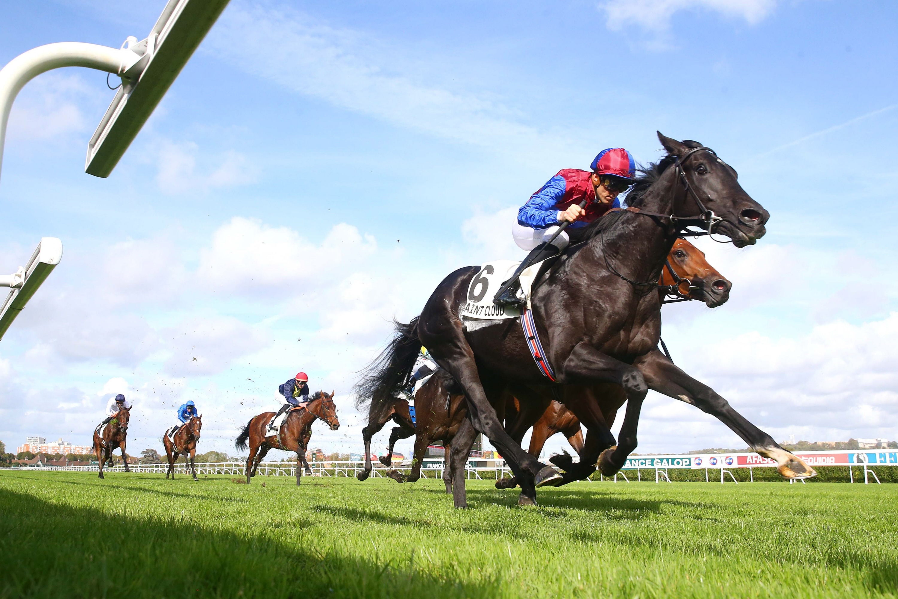 凱旋門賞 有力馬チェック③】愛ダービー馬ロスアンゼルスは愛