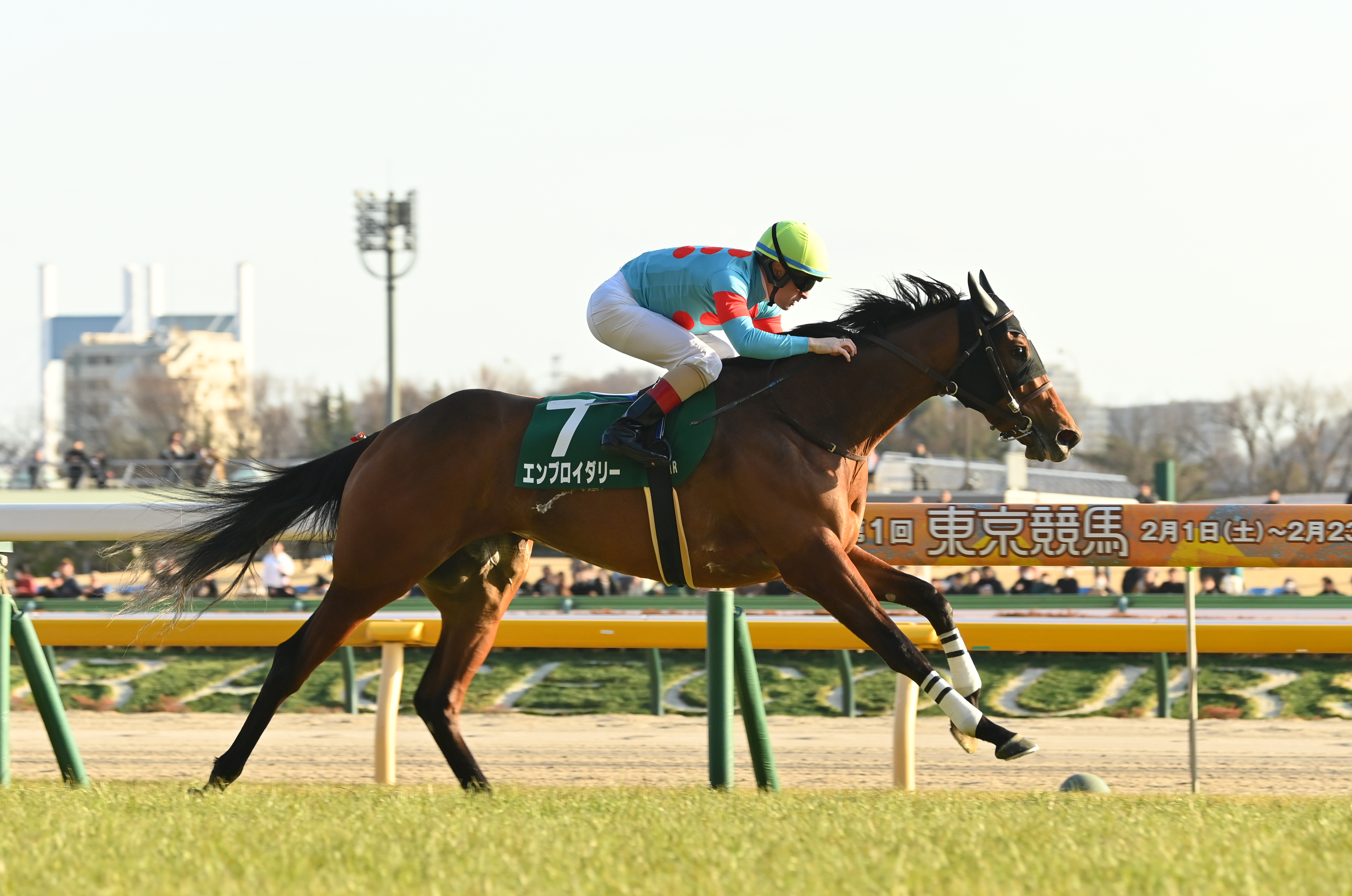エンブロイダリーは桜花賞でモレイラ騎手とコンビ 栗東滞在で調整へ