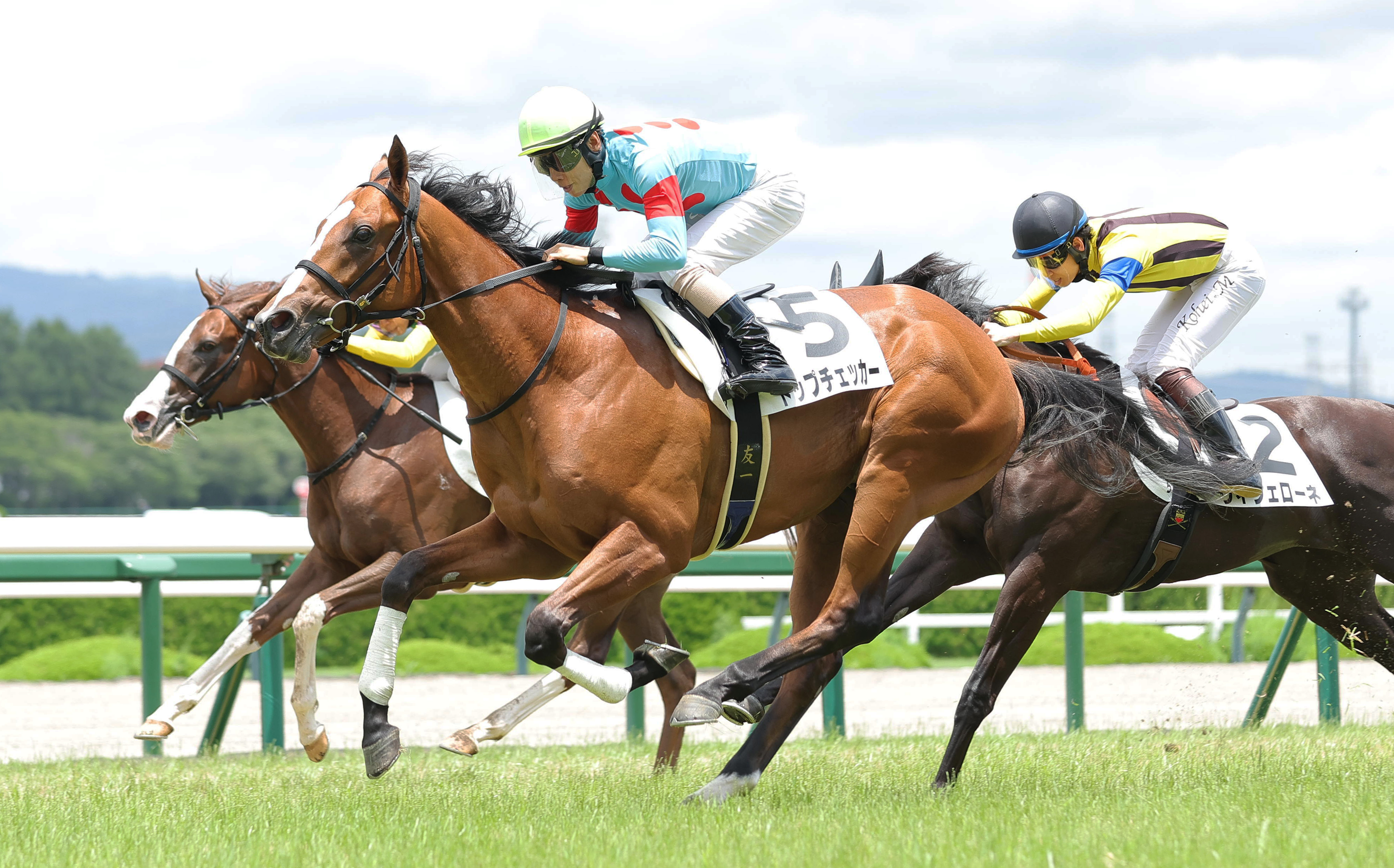 2歳新馬・阪神5R】インディチャンプ産駒トップチェッカーが接戦を制す