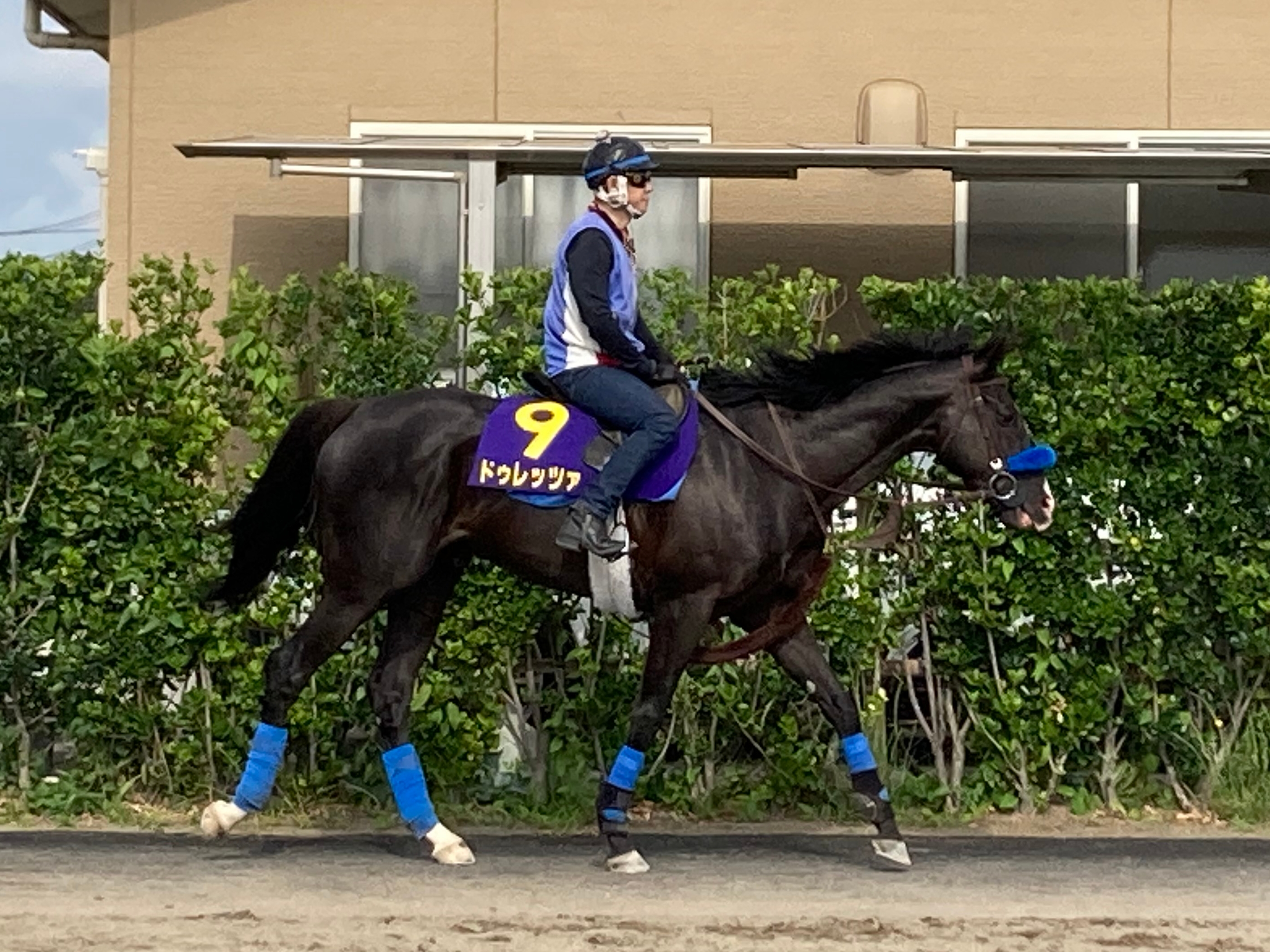 フランス競馬百年史 ギイ・チボー 著、 真田昌彦 訳、クロードロ