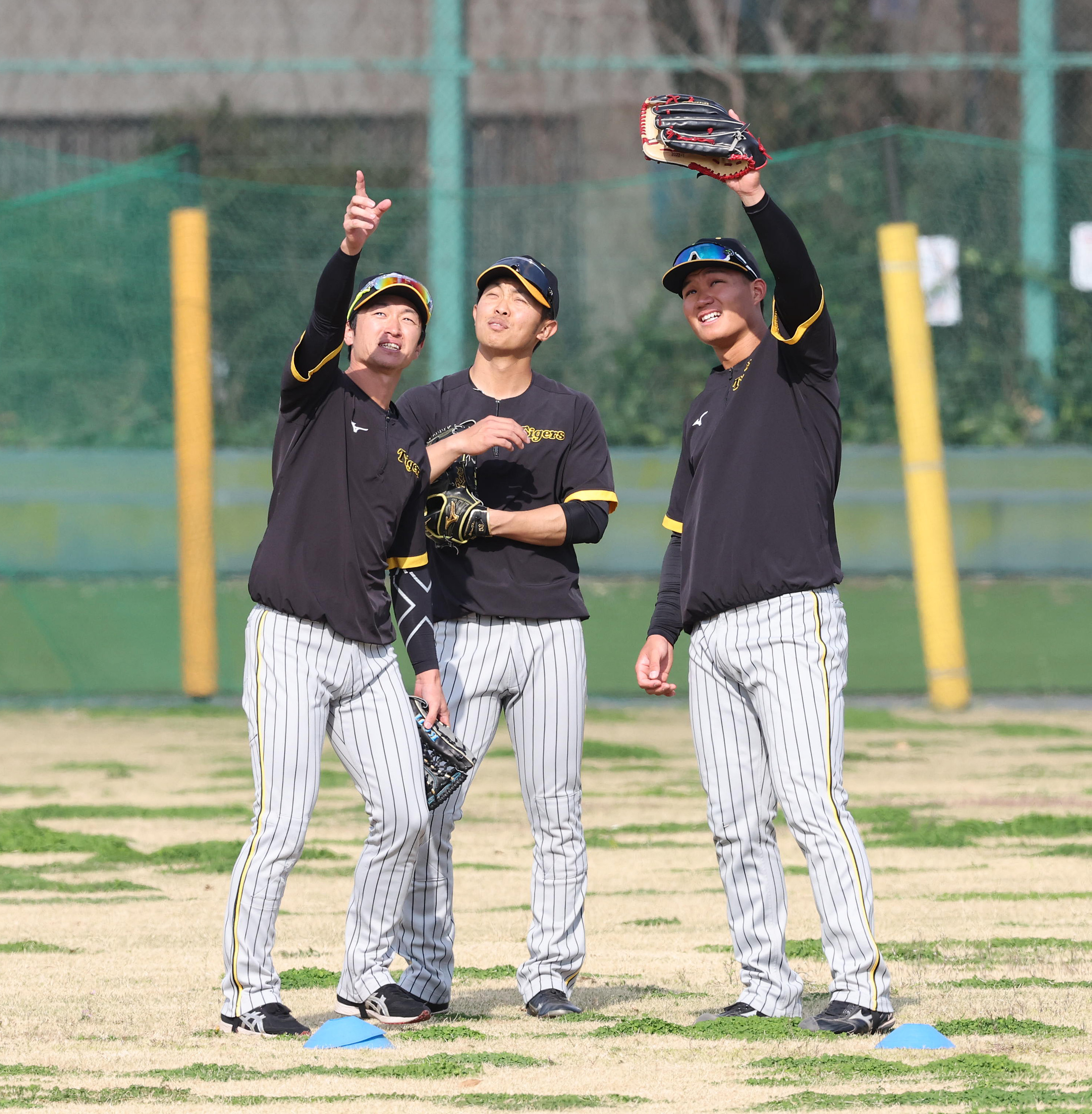 阪神タイガース／イチオシ缶バッジ「サヨナラ勝利！3連勝！！！」１