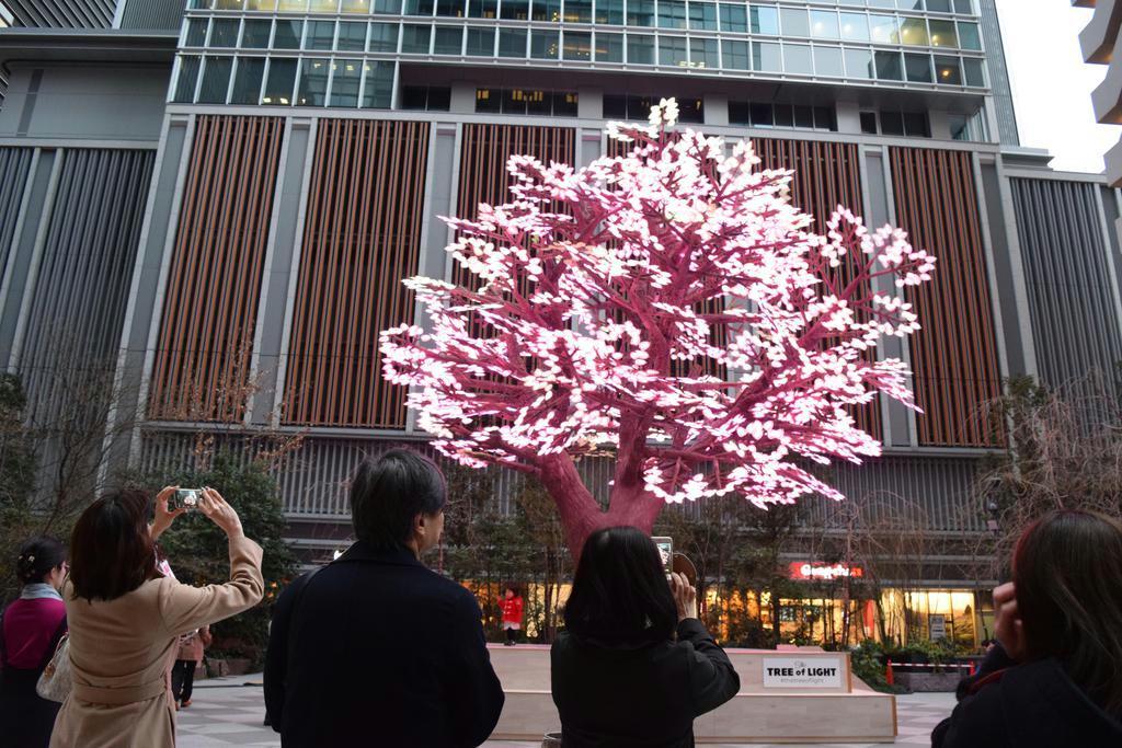 ８メートルのデジタルアート桜 日本橋でフェスティバル 東京 産経ニュース