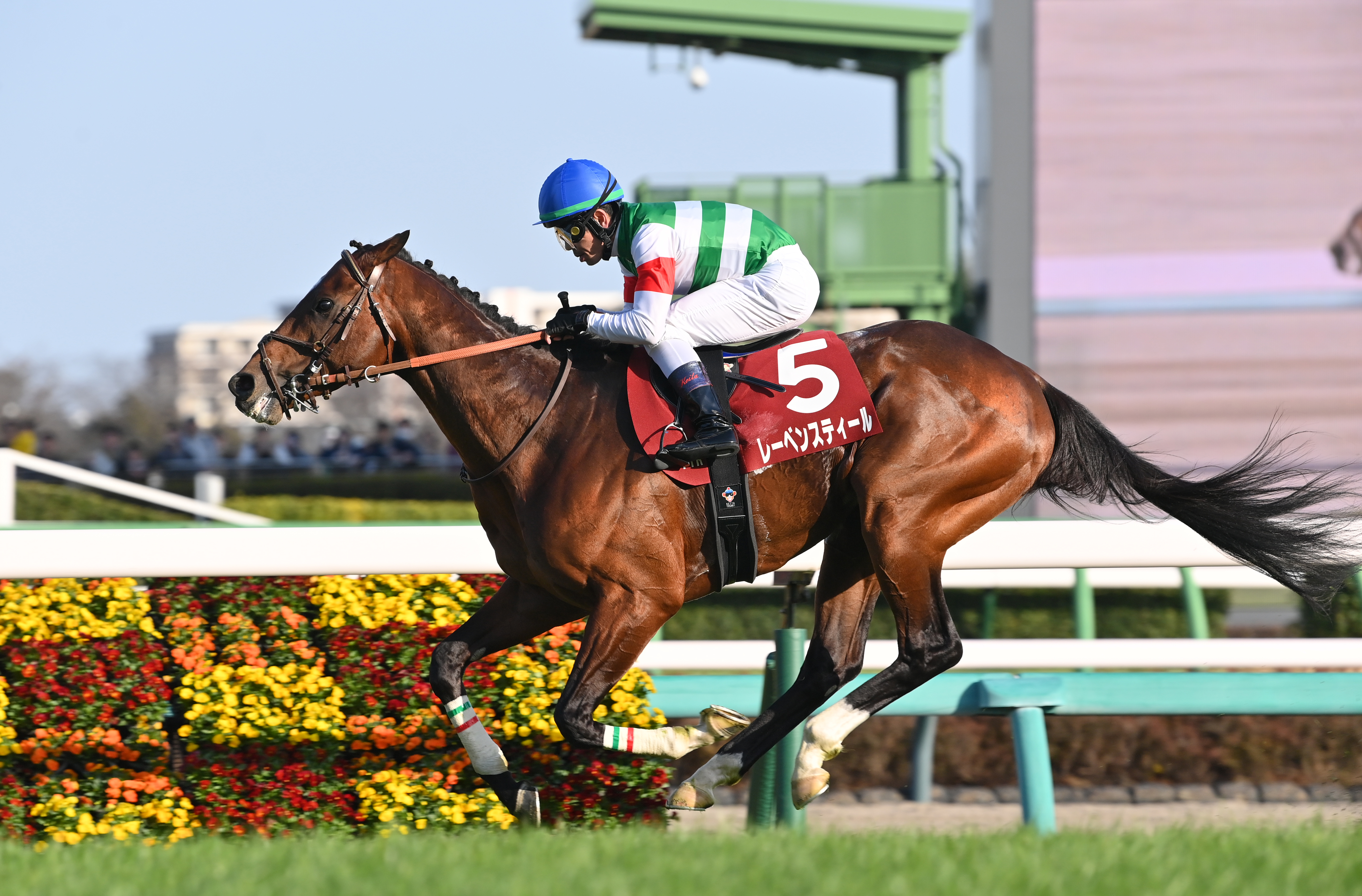 安田記念】プレレーティング発表 本年度トップはレーベンスティールで