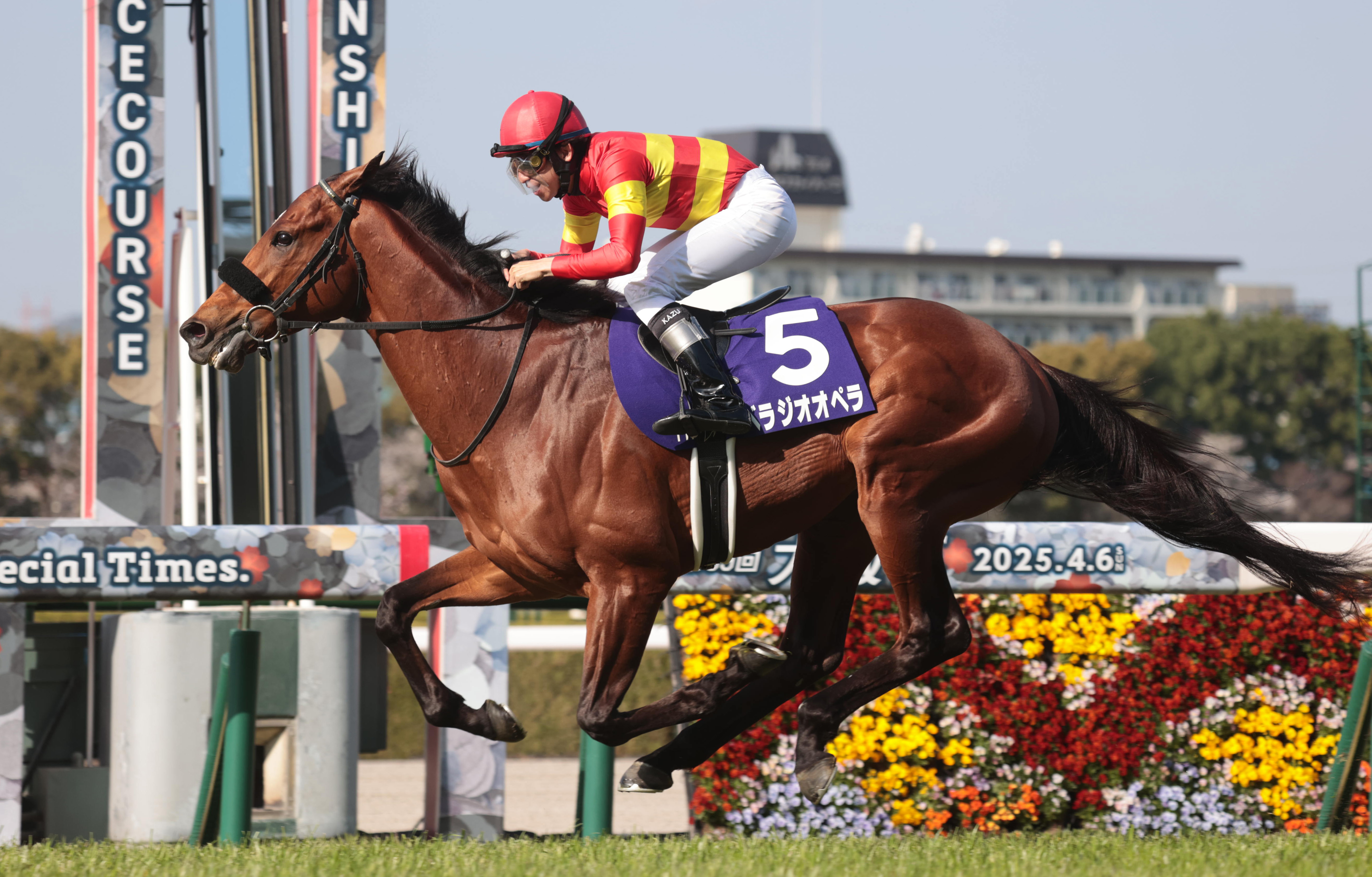 大阪杯連覇のベラジオオペラが引退 社台スタリオンステーションで種