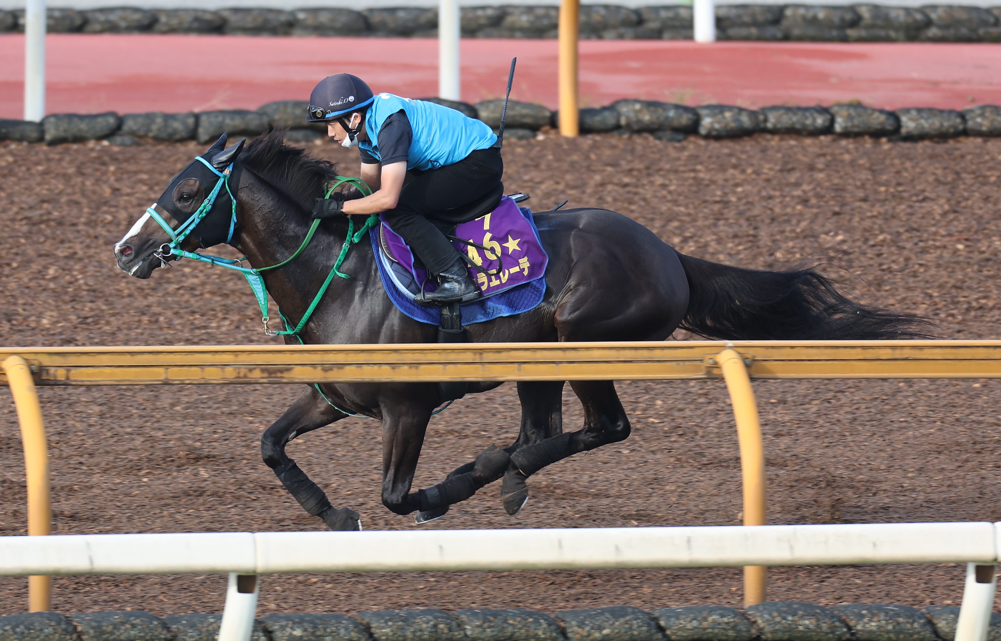 【セントライト記念】ドゥラエレーデがＣＷコースで軽快にラスト ...