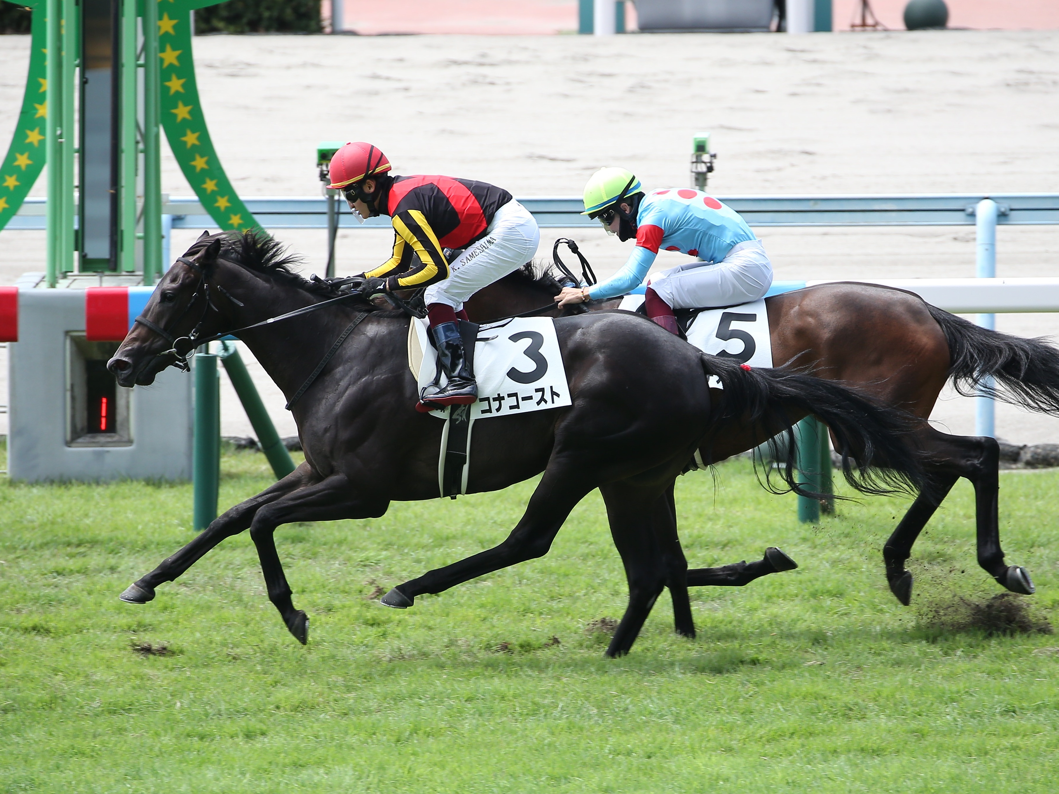 【３歳以上次走報】コナコーストは鮫島克駿騎手と再コンビで秋華 ...