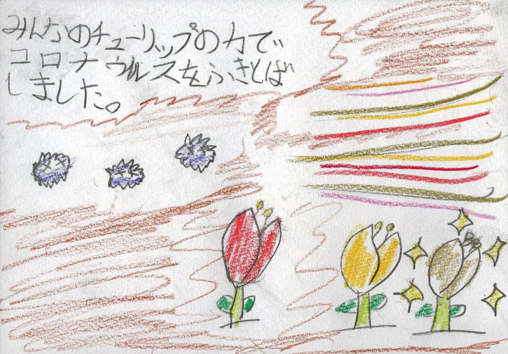 また花が咲くように コロナ禍 千葉のチューリップ刈り取りに心痛め 山口の小学生が絵本 産経ニュース