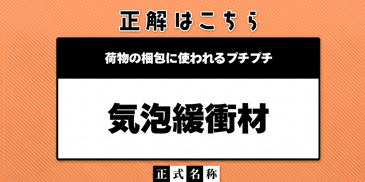 方まで名前です！他取引を同梱しないでね❌ 正式名称クイズ》「荷物の梱包に使われるプチプチ」の本当の名前は