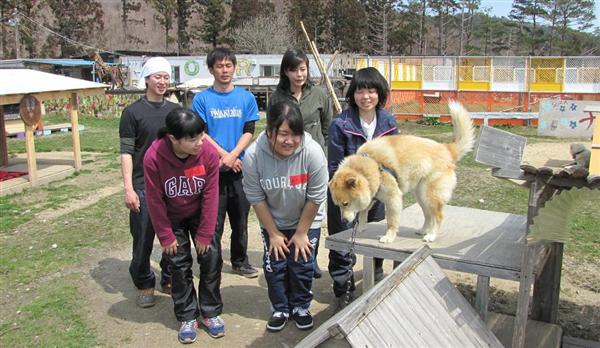 ふくしまプレミア 原発避難犬 見捨てないでほしいワン 保護施設運営 福島のｎｐｏが資金難 1 3ページ 産経ニュース