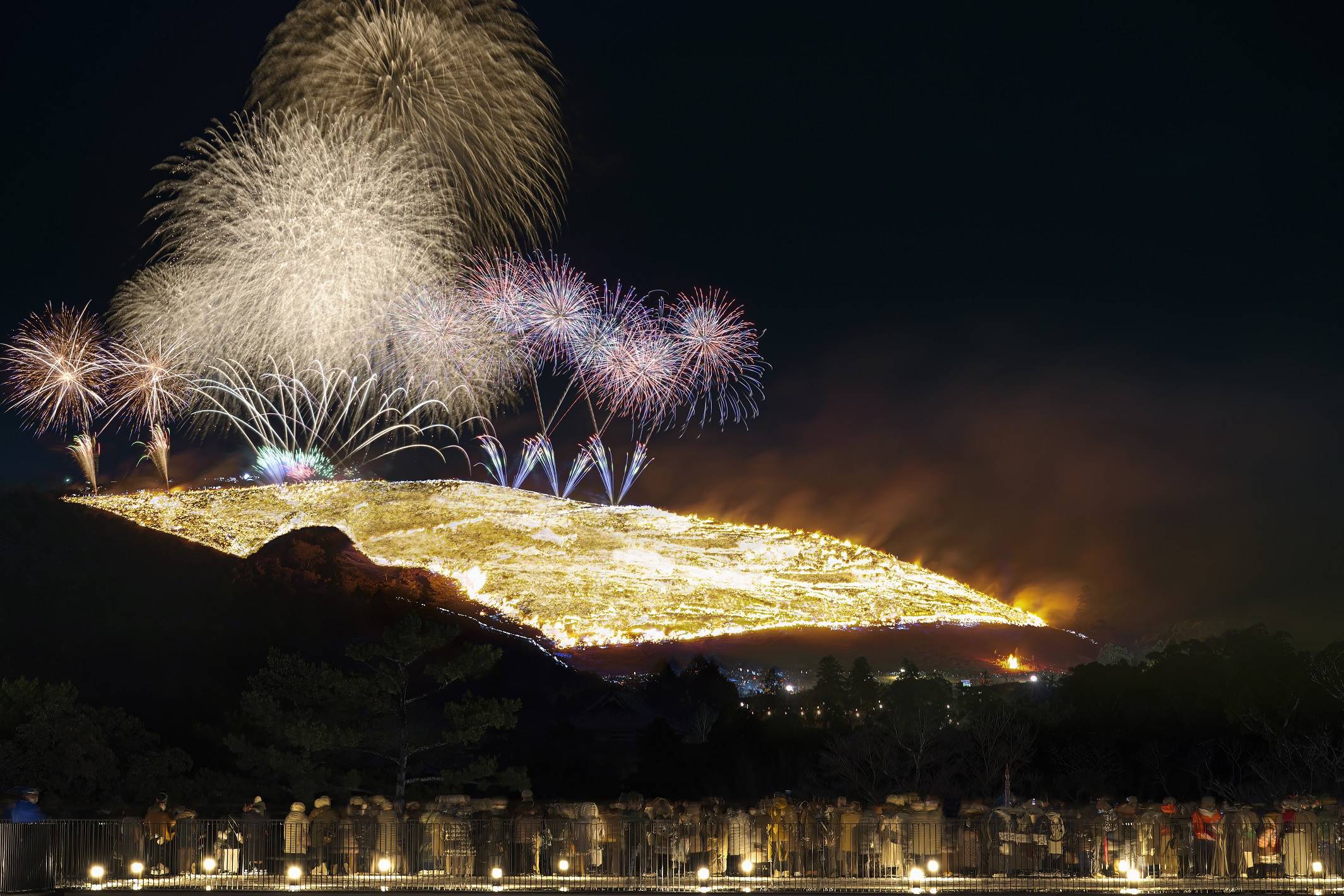 納できなければ、返品可。値下げ交渉応じます。月と雁 楽天市場】【ふるさと納税】≪2026年2月中旬〜5月中旬の間に発送≫紅甘