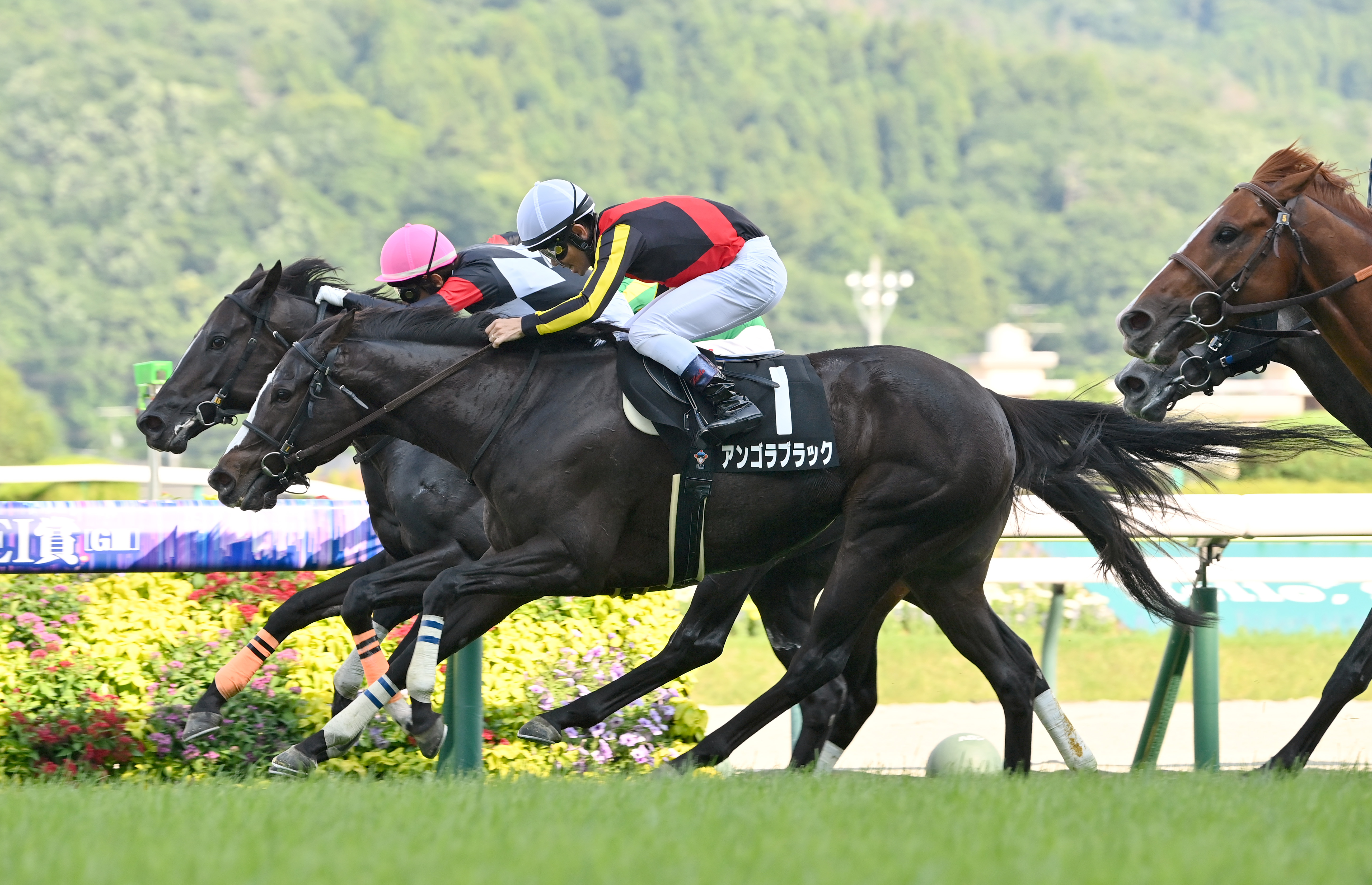日本銀行 5文銭 171年 騎馬武者