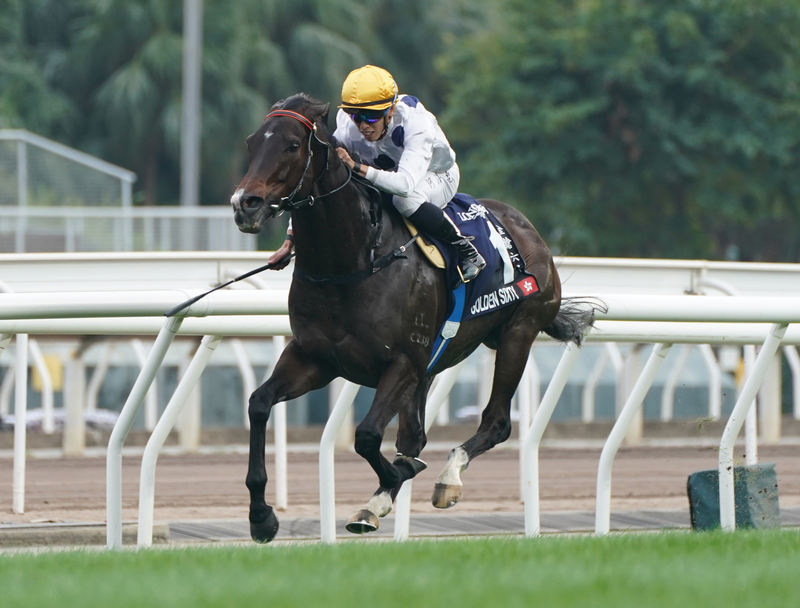 香港マイル】地元ゴールデンシックスティがＧⅠ４連勝で制覇