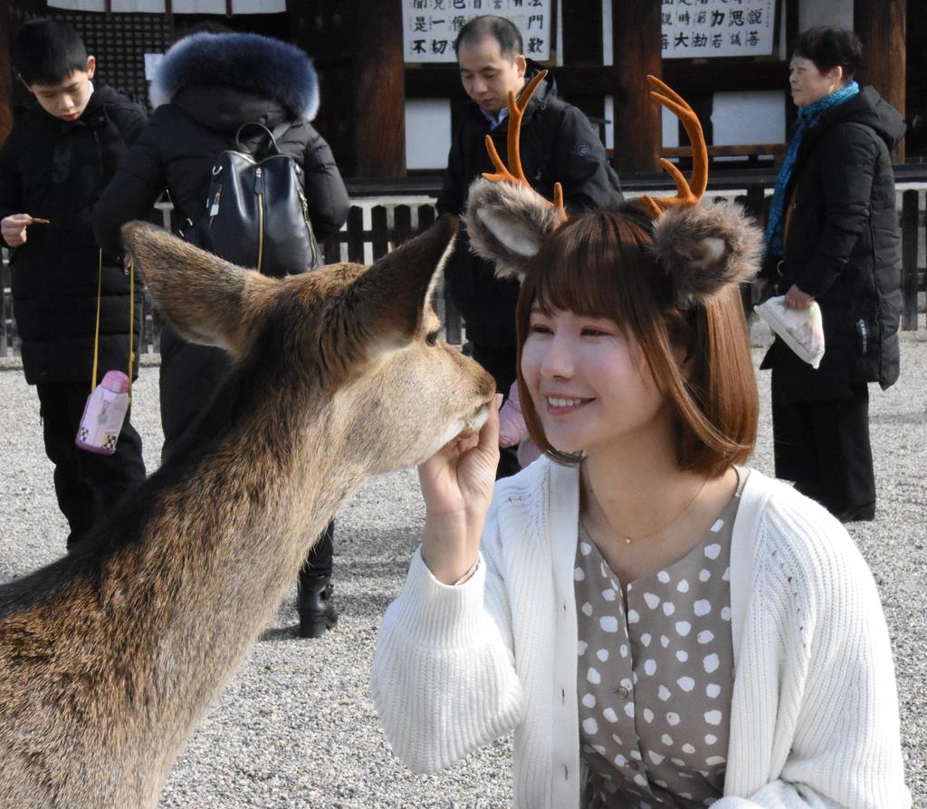 奈良で大人気「鹿のカチューシャ」 仕掛け人は元グラドル（1/2ページ