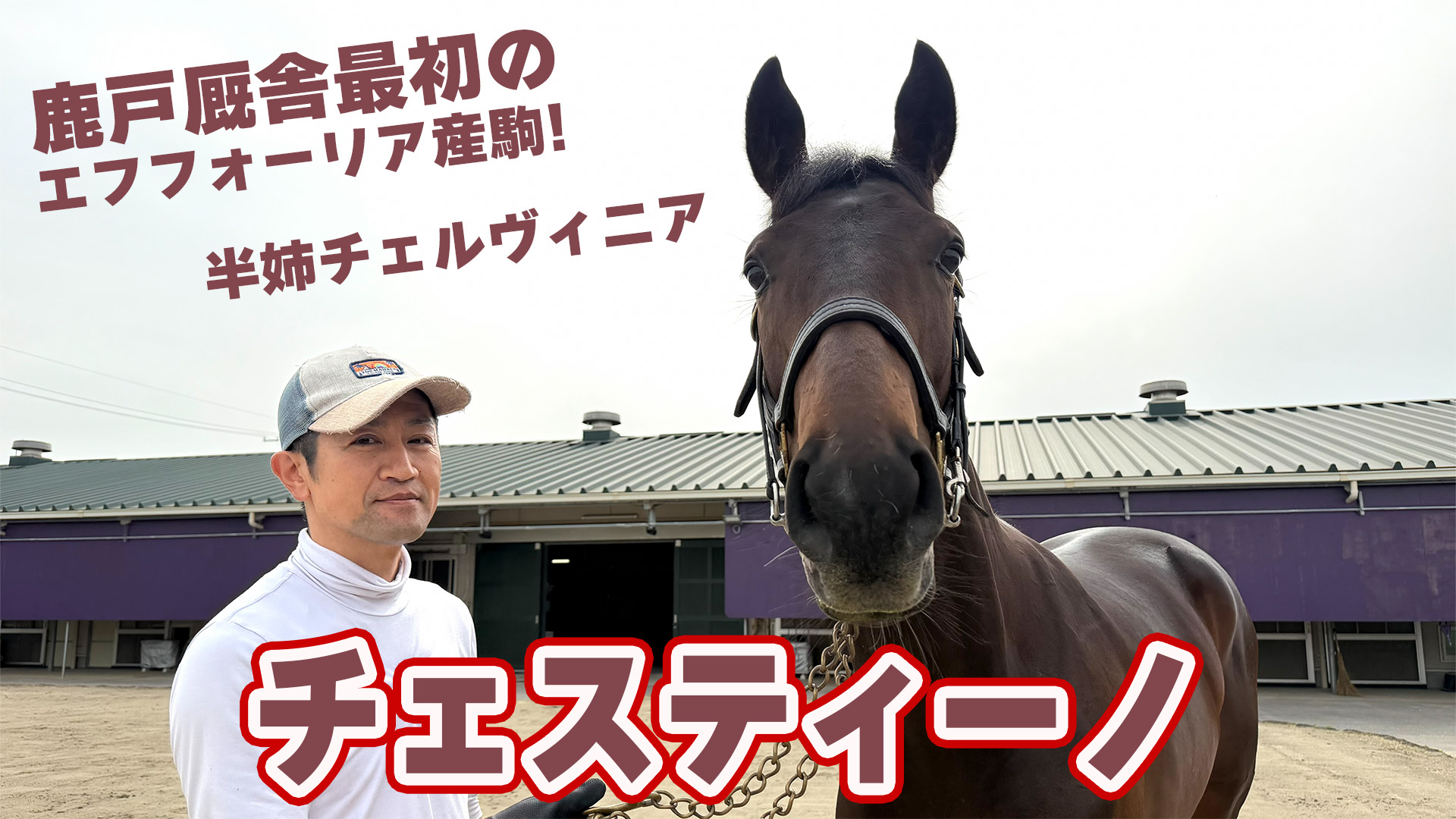 期待の新種牡馬】鹿戸厩舎最初のエフフォーリア産駒・チェスティーノ 
