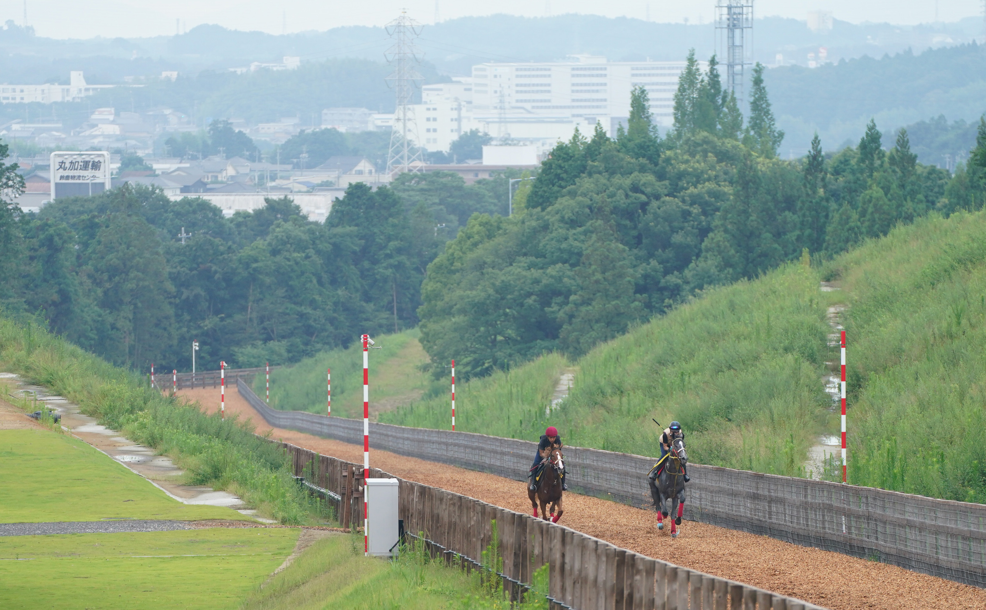国内トップレベルの施設「社台ファーム鈴鹿」に迫る 社台初の関西前線