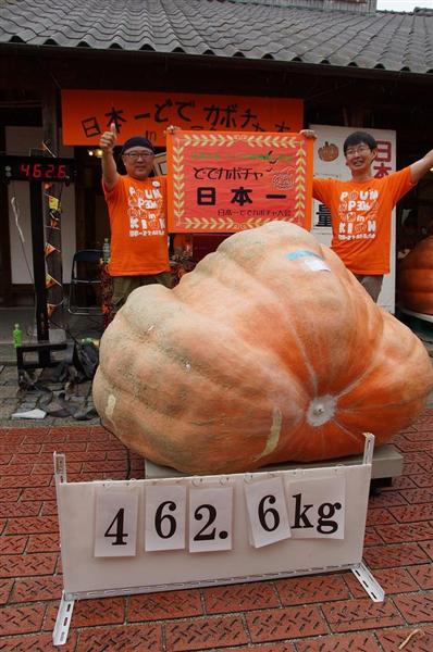 重さ４６２キロ！日本一の「どでカボチャ」は千葉産 香川・小豆島の大会で優勝 - 産経ニュース