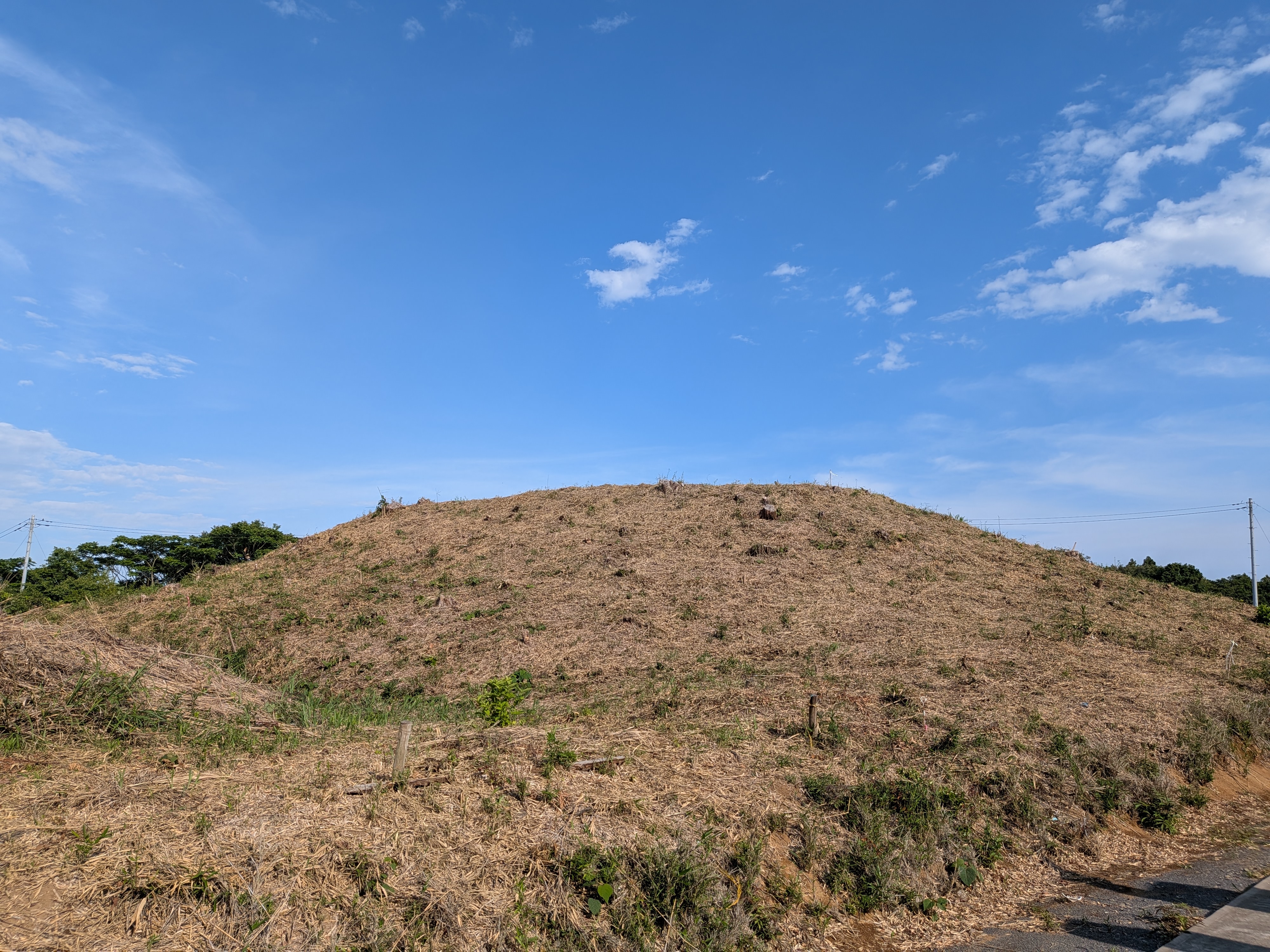◆古銅海老置物 山銅（やまがね） 桐箱付き 江戸時代◆ 茨城・日立市の舟戸山古墳、東日本最大の方墳と判明 畿内の権力と