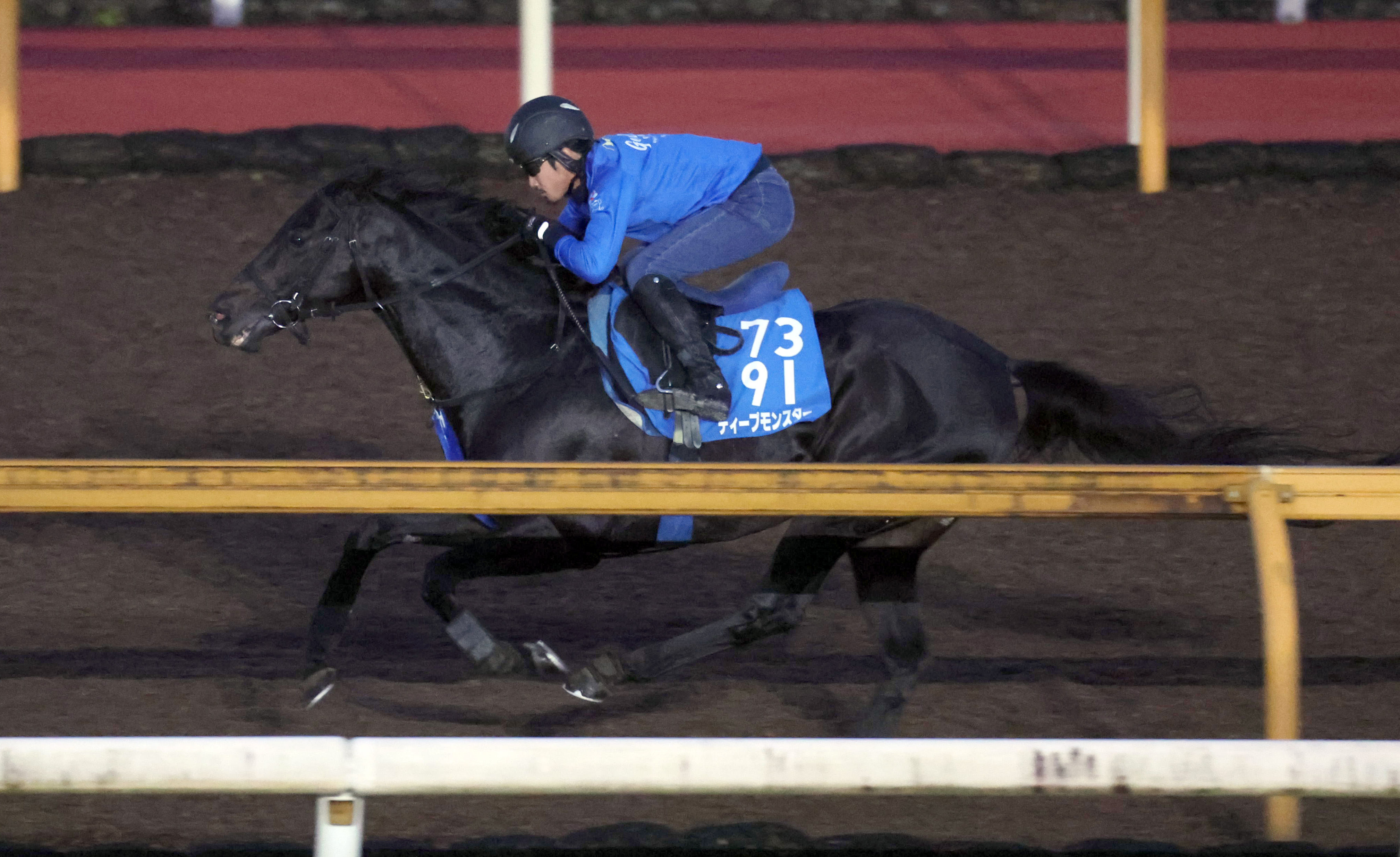 京都大賞典 追い切り】連覇へ活気十分！ ディープモンスターはラスト11