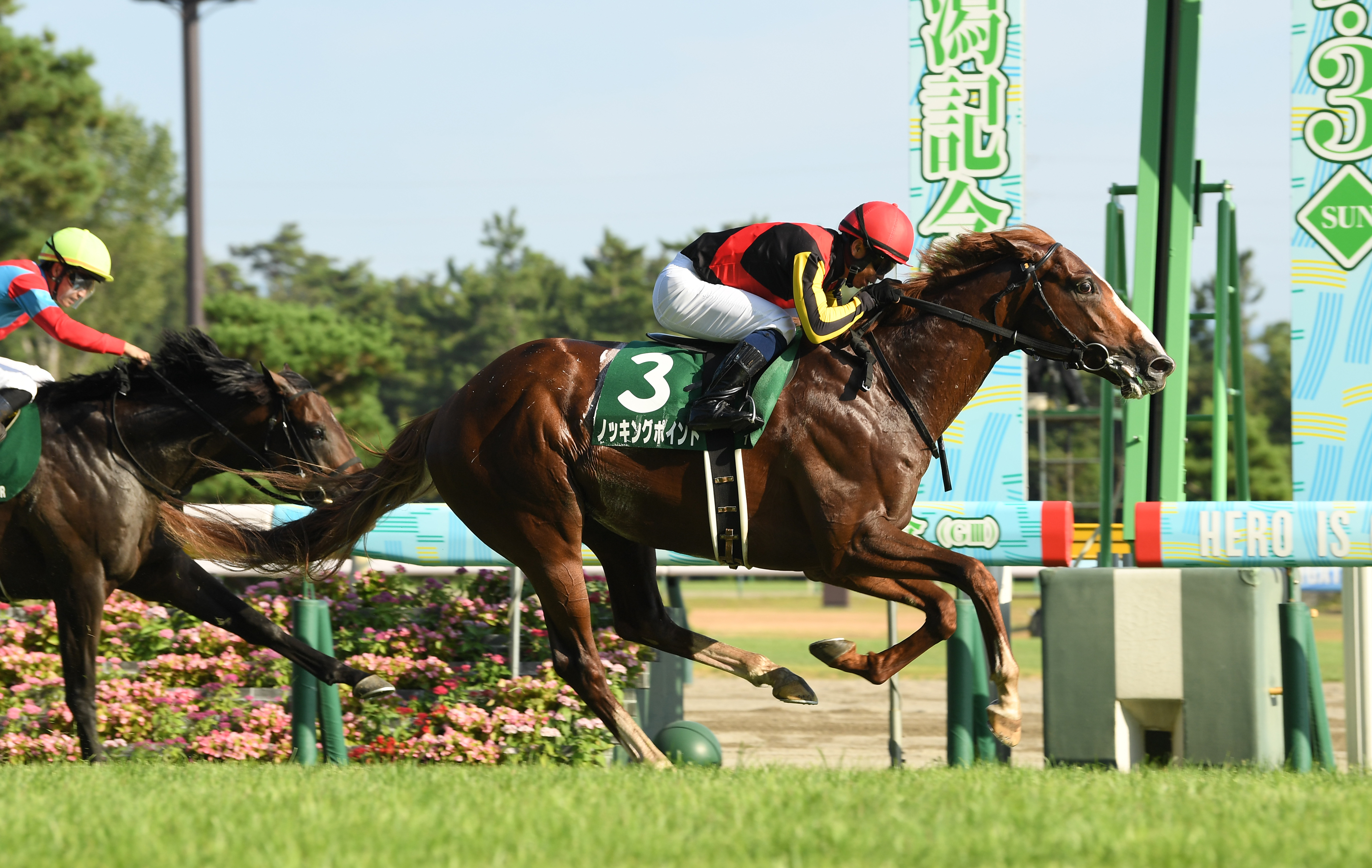 【新潟記念】ノッキングポイントが力強く伸びて快勝！５年ぶりの ...