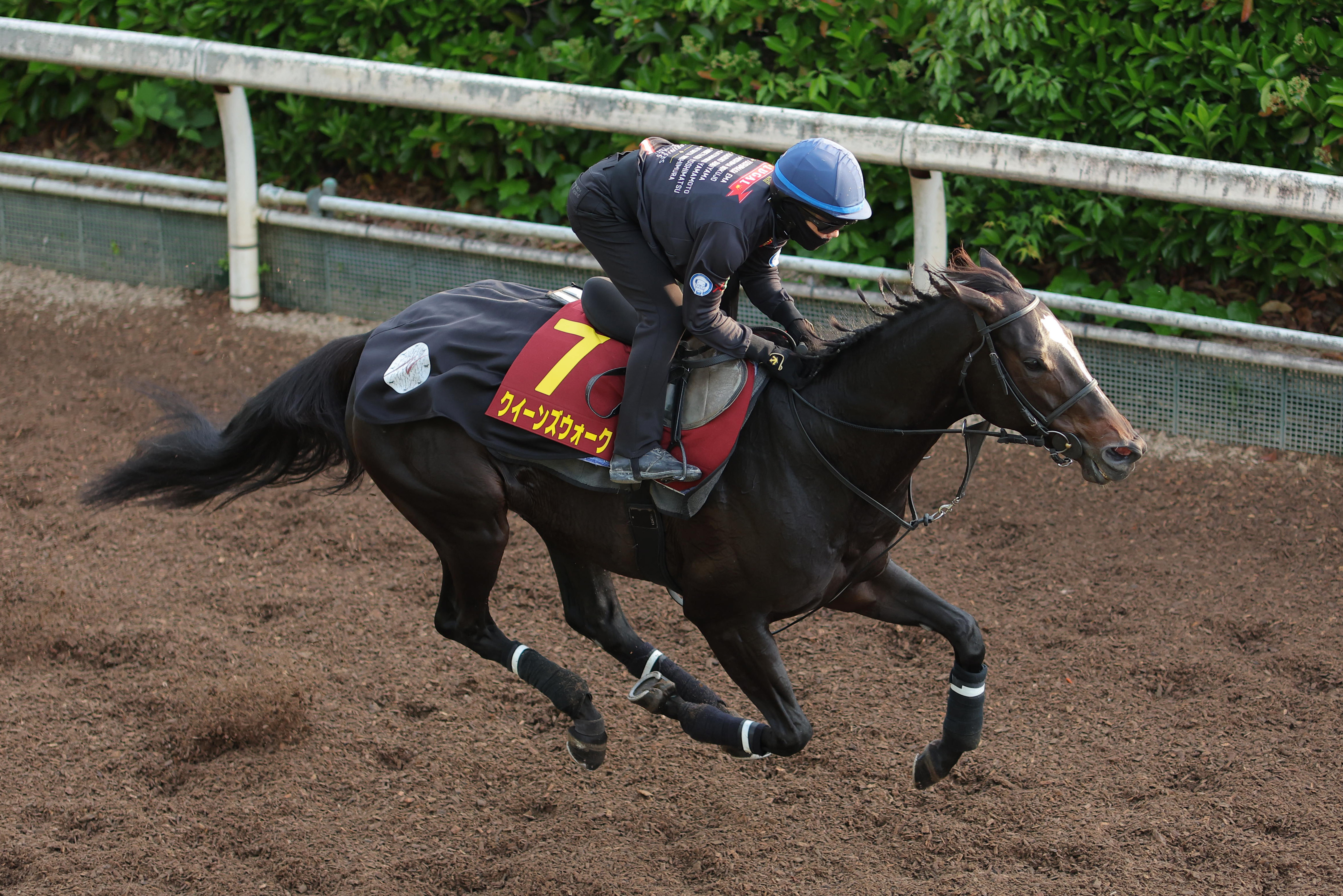 ヴィクトリアM GⅠ予想ドキュメント ◎への道】大人びた脚取り 