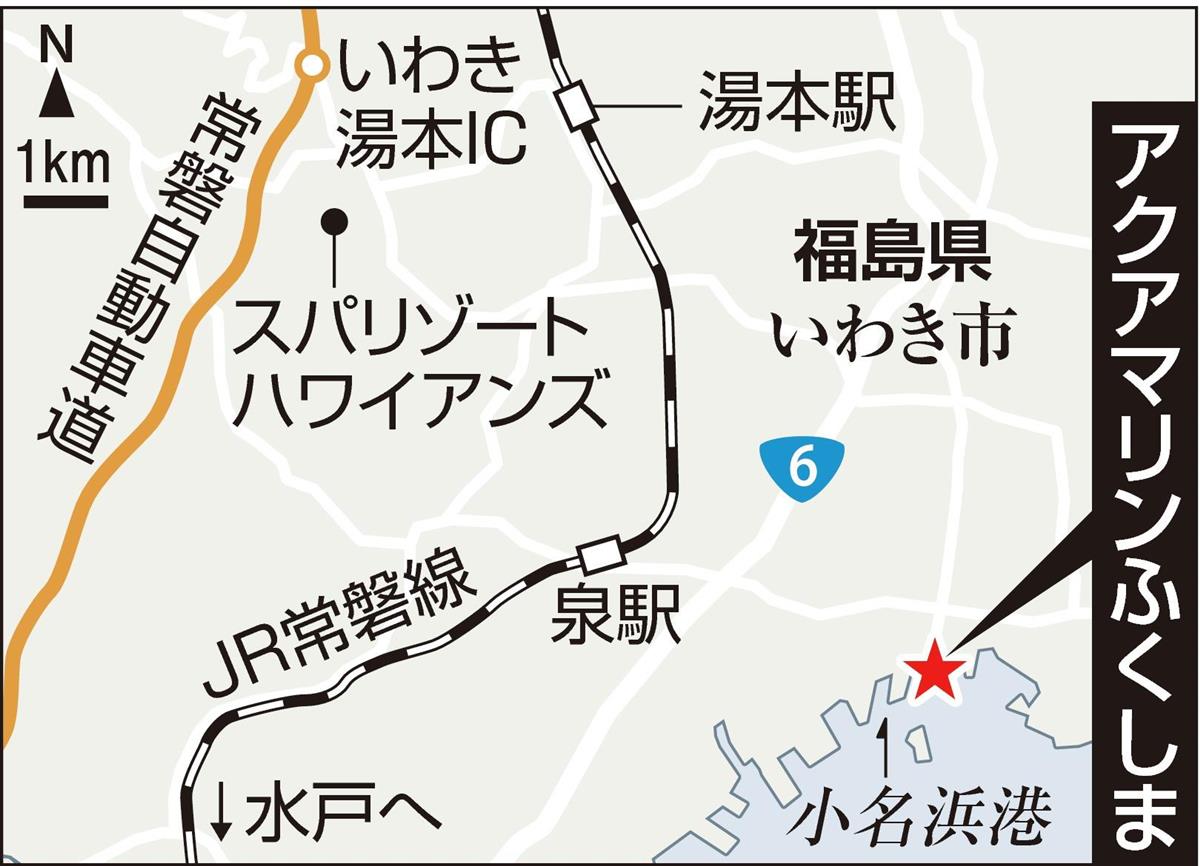 展示する生き物 実は大半が飼育員の採集 アクアマリンふくしま 1 2ページ 産経ニュース