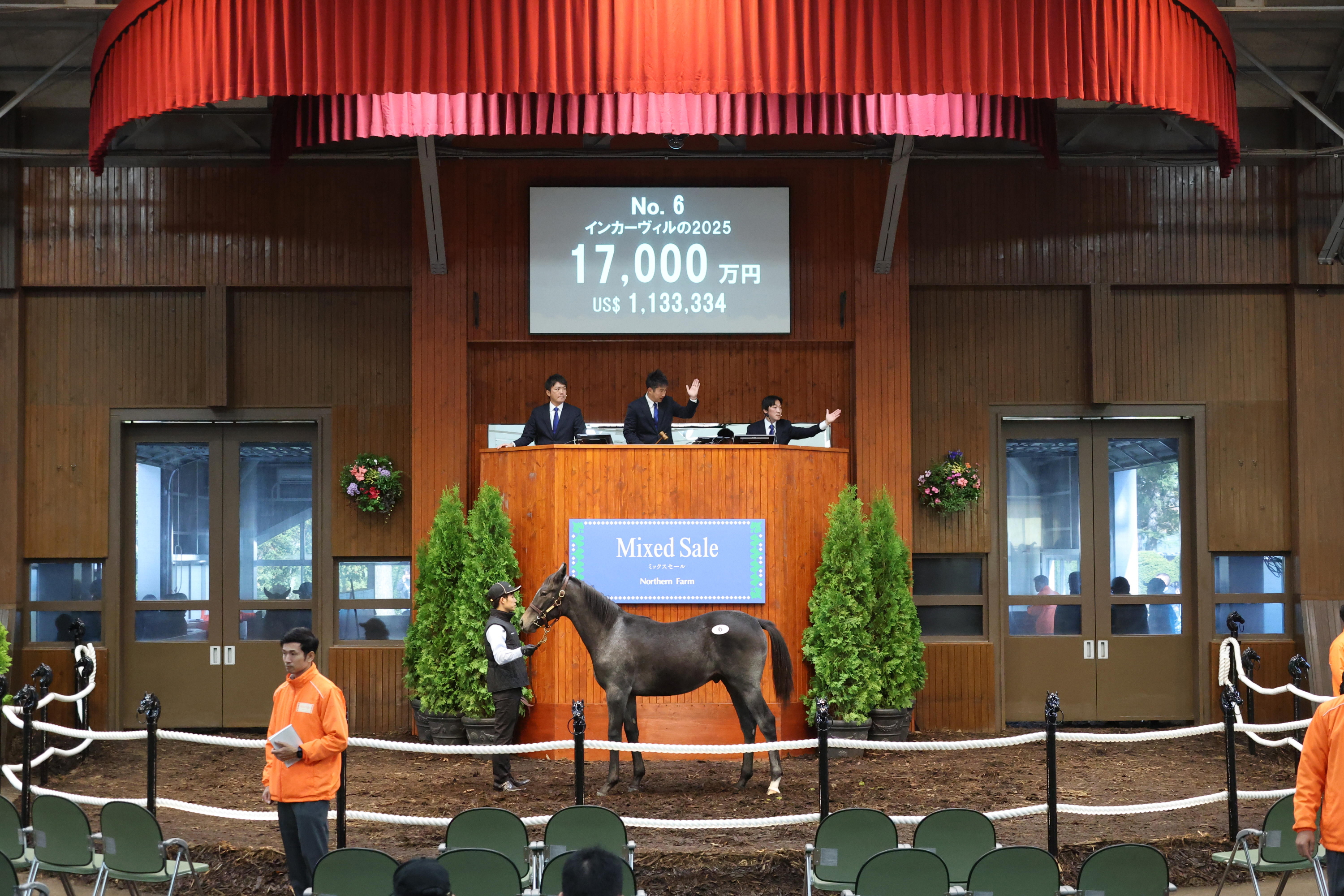 イクイノックスまとめ売り イクイノックス・ - Search / X