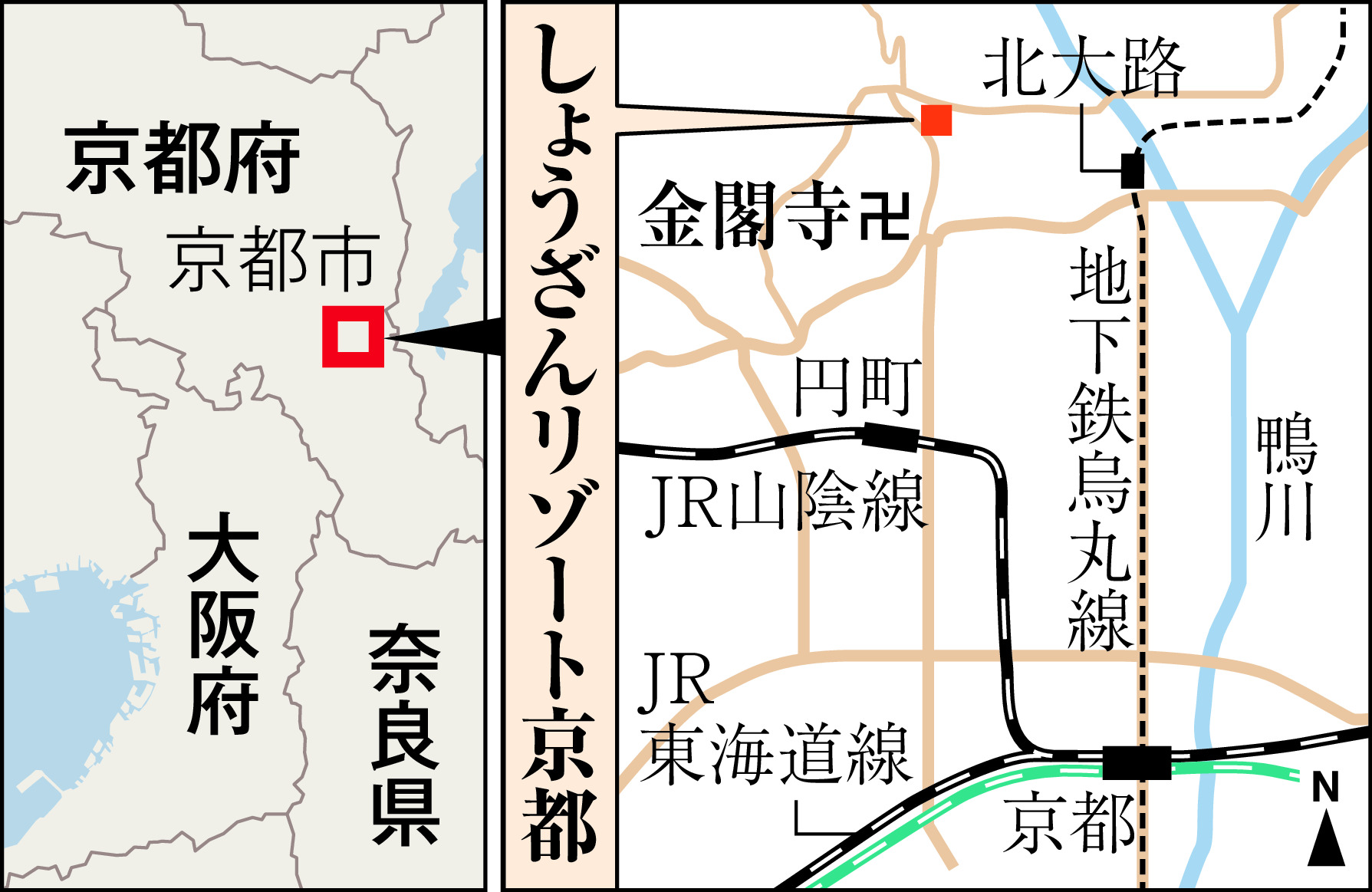 山上直子の犬も歩けば】秋の京に競う しなやか竹の美と生命力 ダニエル