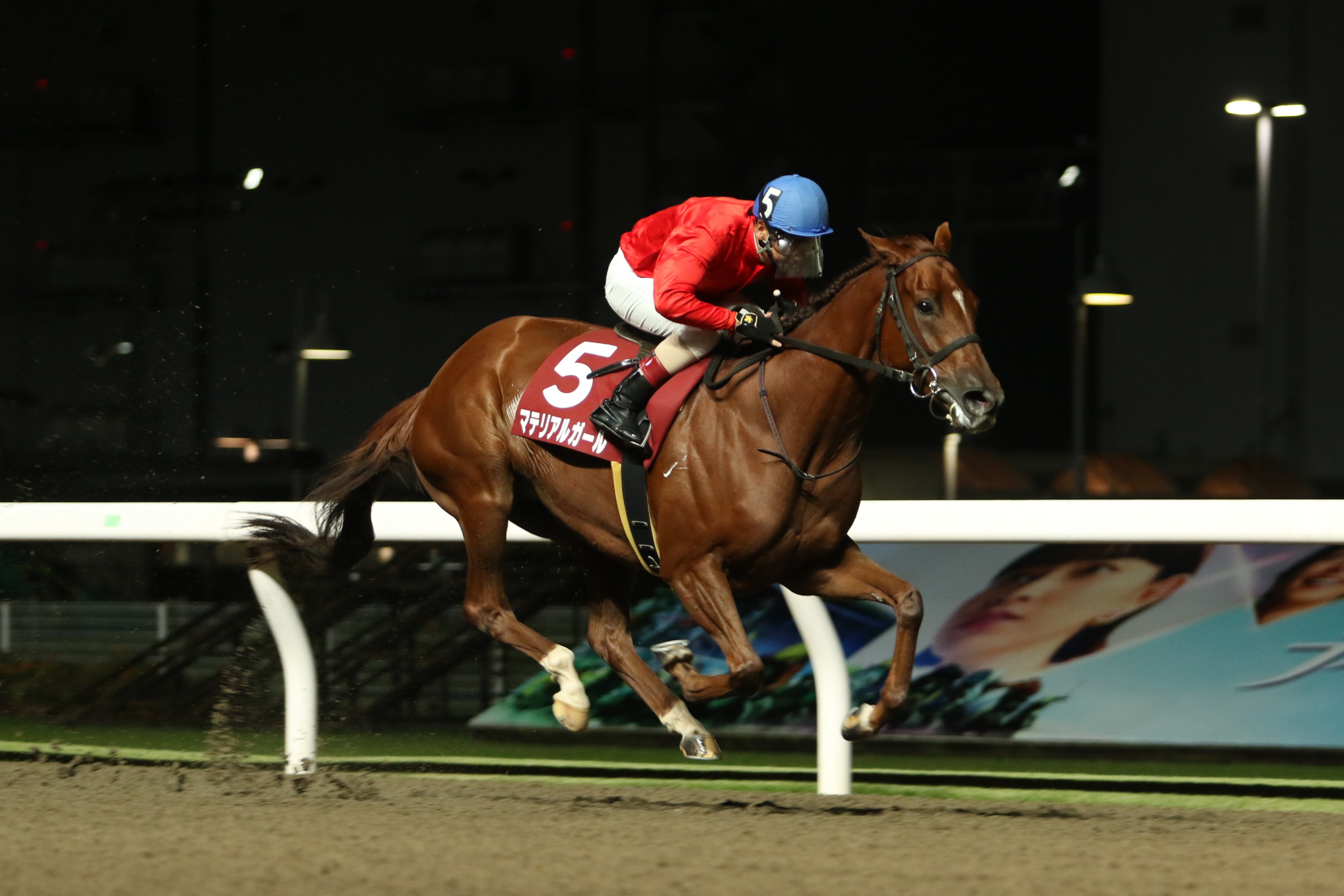 【川崎競馬取材班 必勝馬券コラム】ロジータ記念 - サンスポZBAT!