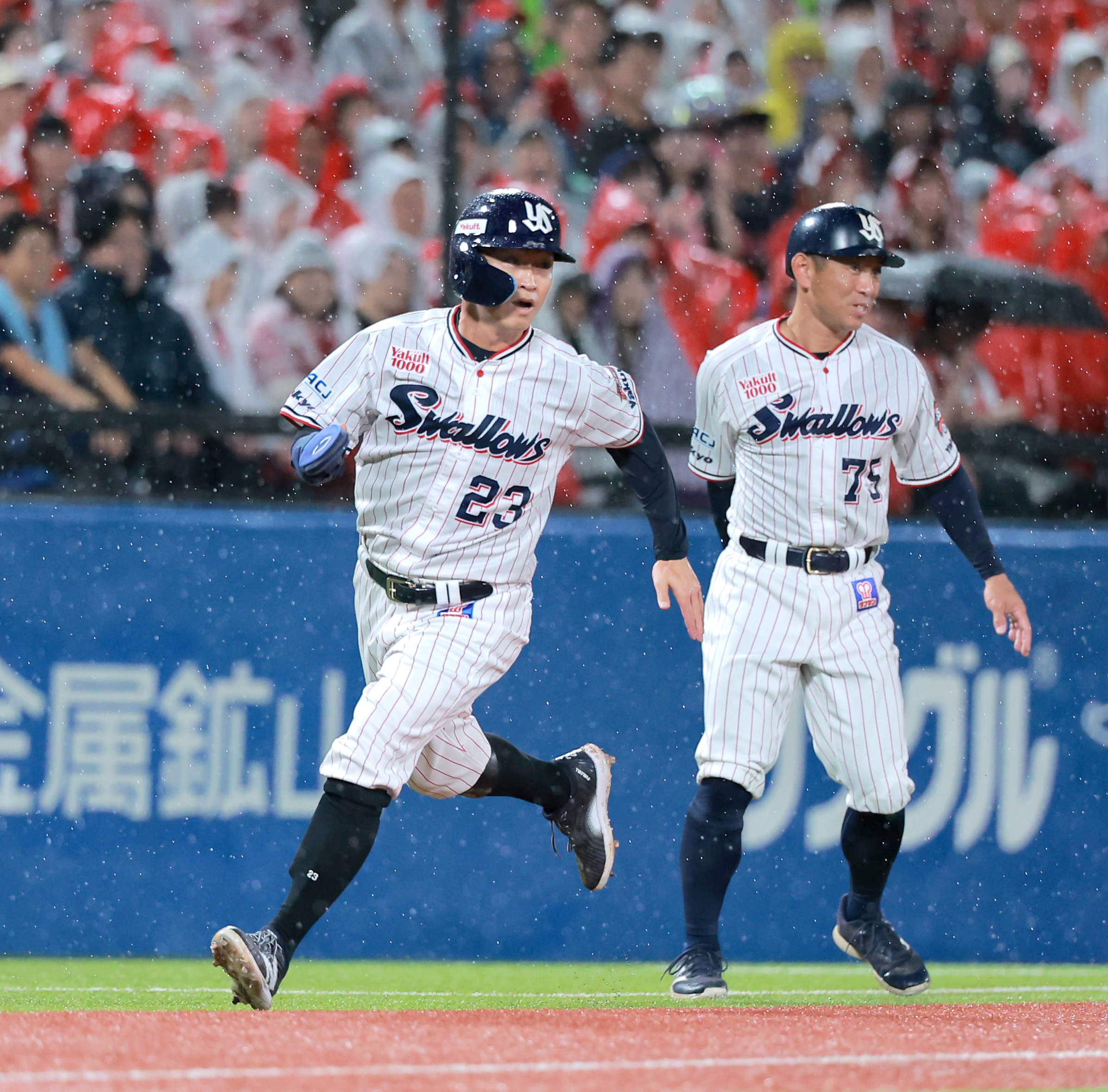 若さんのツバ目線】青木から感じた「毎日試合に出る」という覚悟…42歳