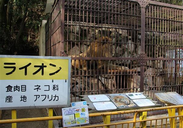 山陽の議論 天皇陛下の実姉が園長 岡山の動物園が存亡の危機 市民ら公営化求めるも市は困惑 1 5ページ 産経ニュース