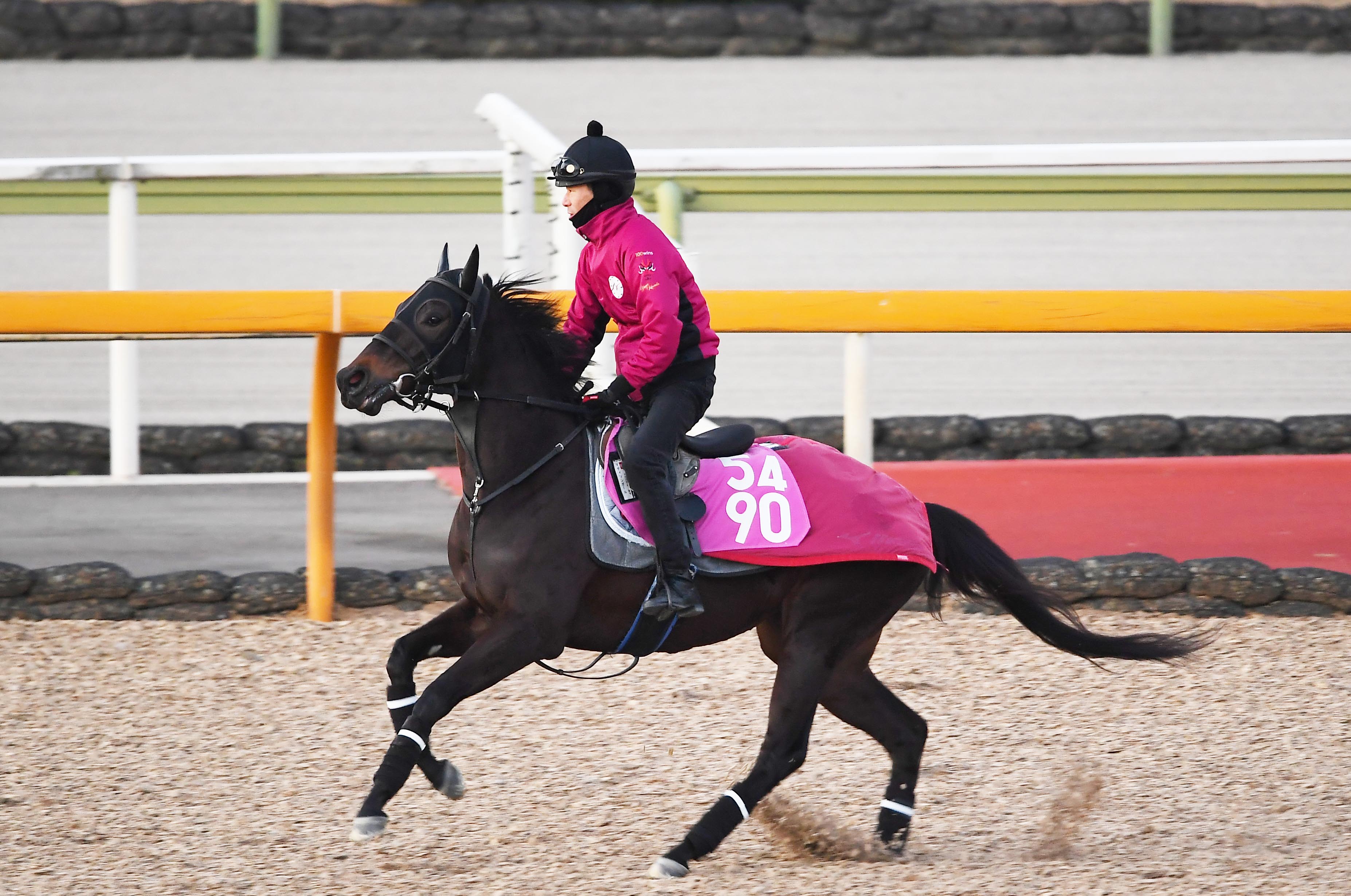 クイーンC】偉大な姉の背中を追いかけ…マディソンガール出撃！ 〝中