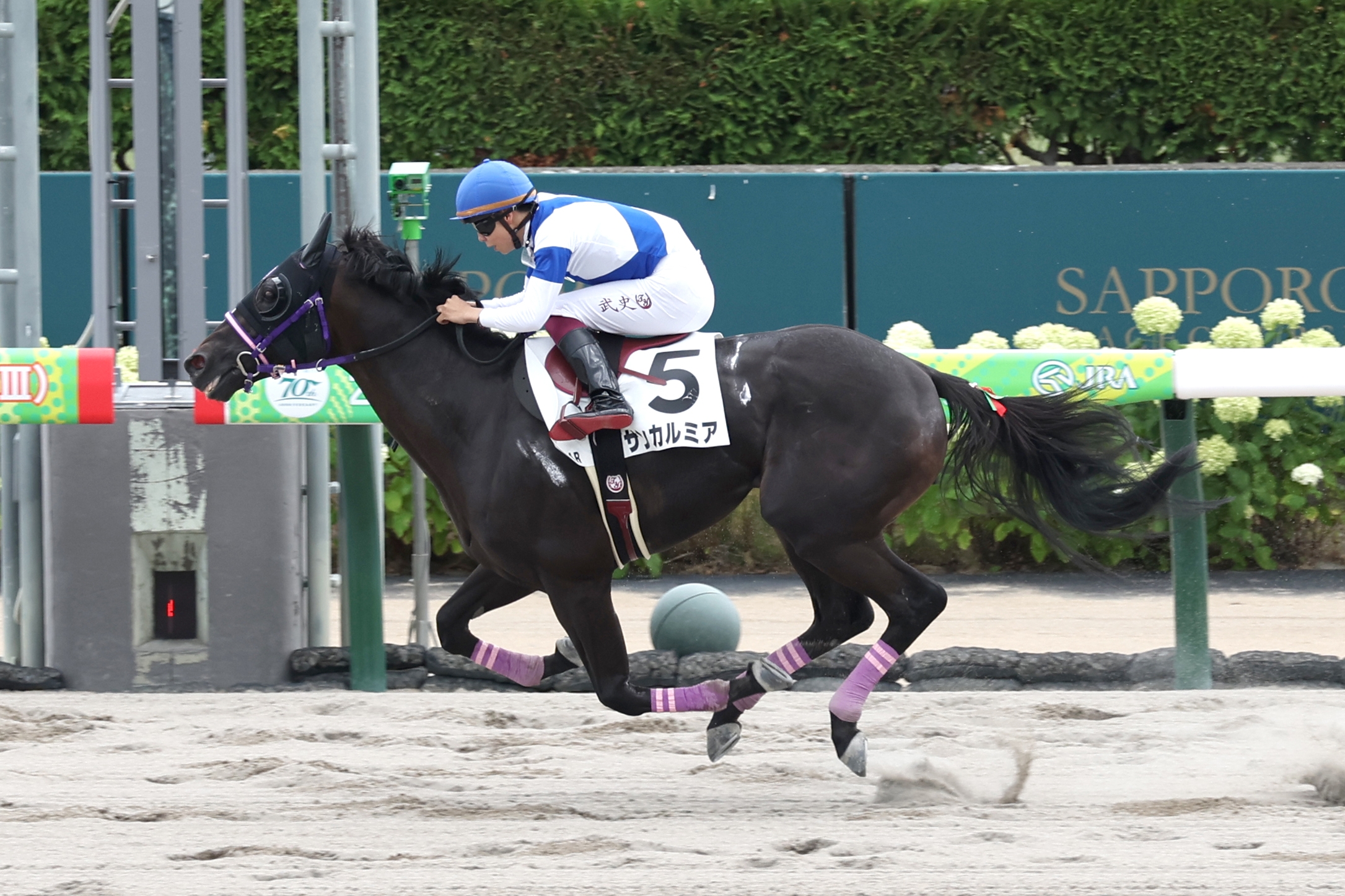 ヒロシのDeepな話】新潟のダートは今週も外枠の馬を積極的に狙うべき