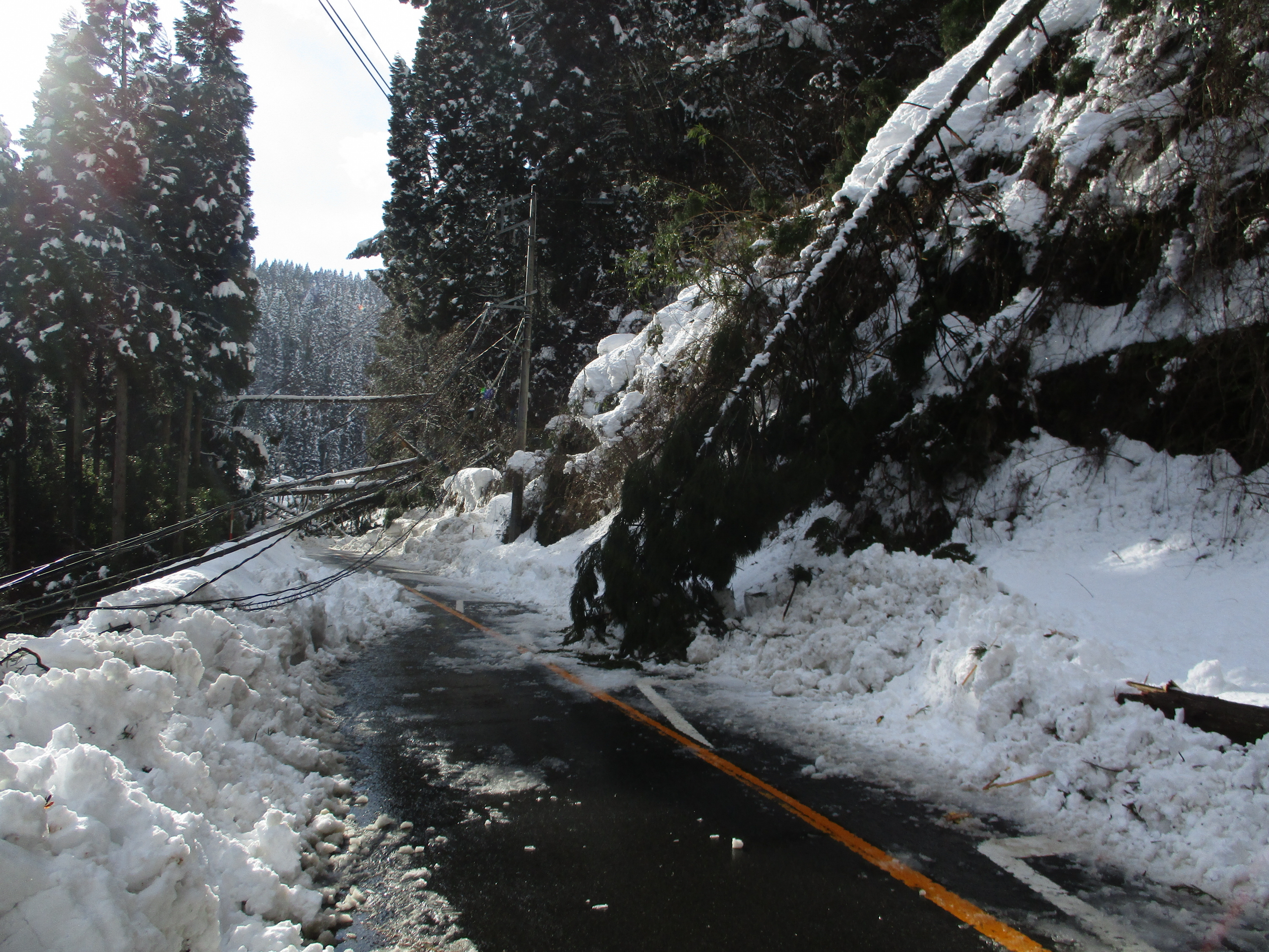 孤立ドライバーを住民がサポート 鳥取「大雪立ち往生」の教訓 - 産経