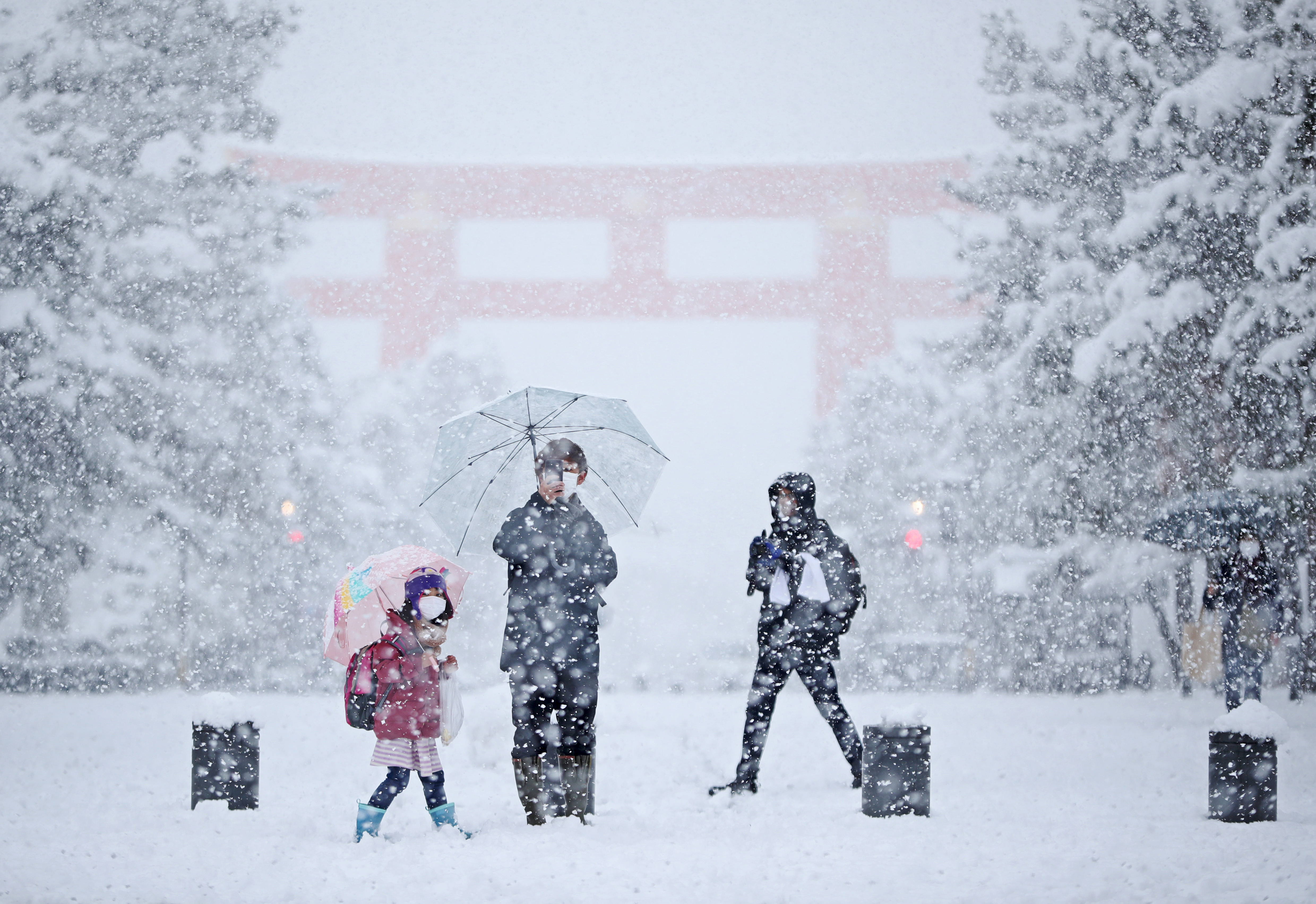 古都に大雪 平安神宮も銀世界 産経ニュース