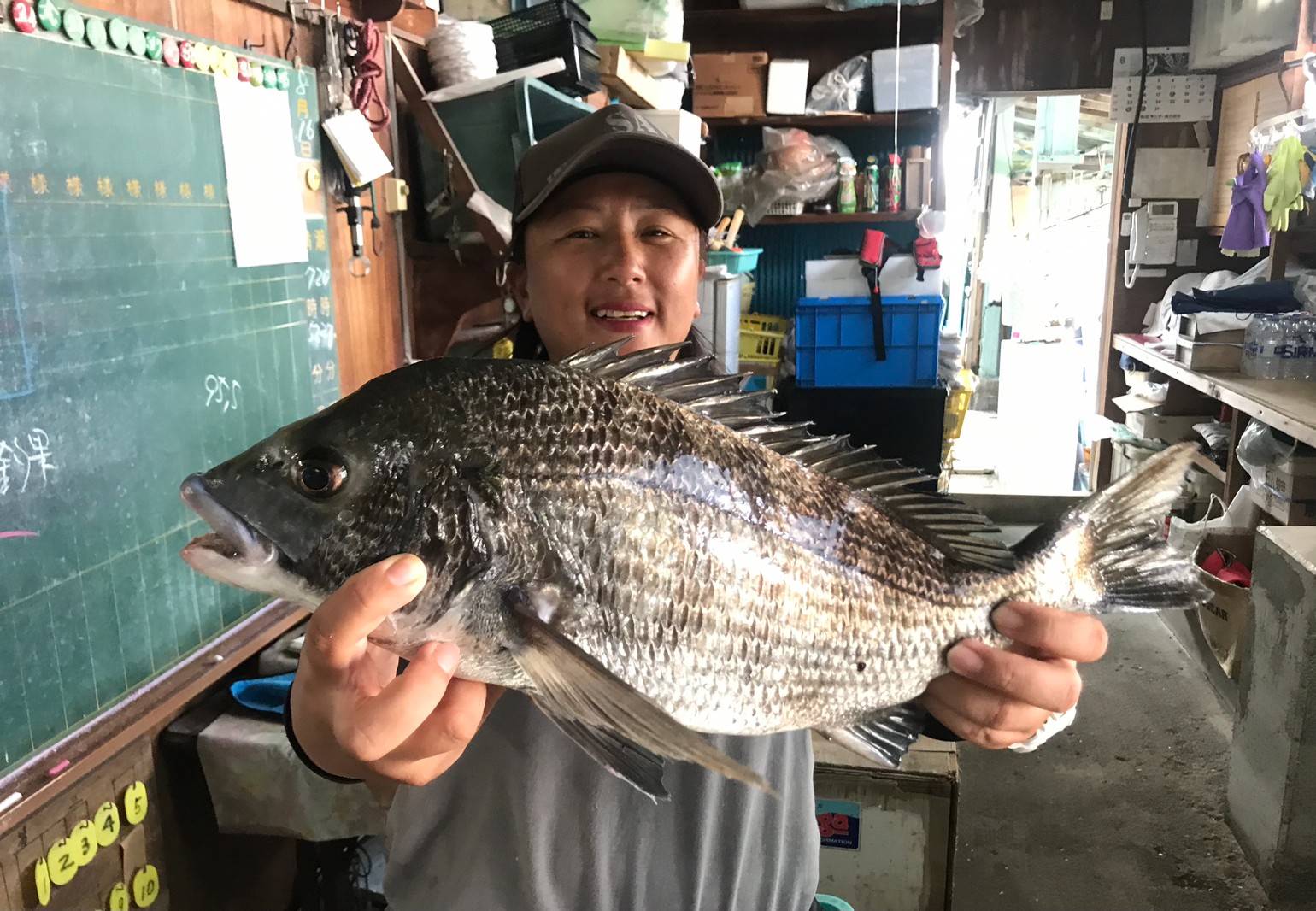 カイズ級主体に夏の数釣りチャンスだ 大型も狙える クロダイ４８センチ 静岡市 清水港内 サンスポ