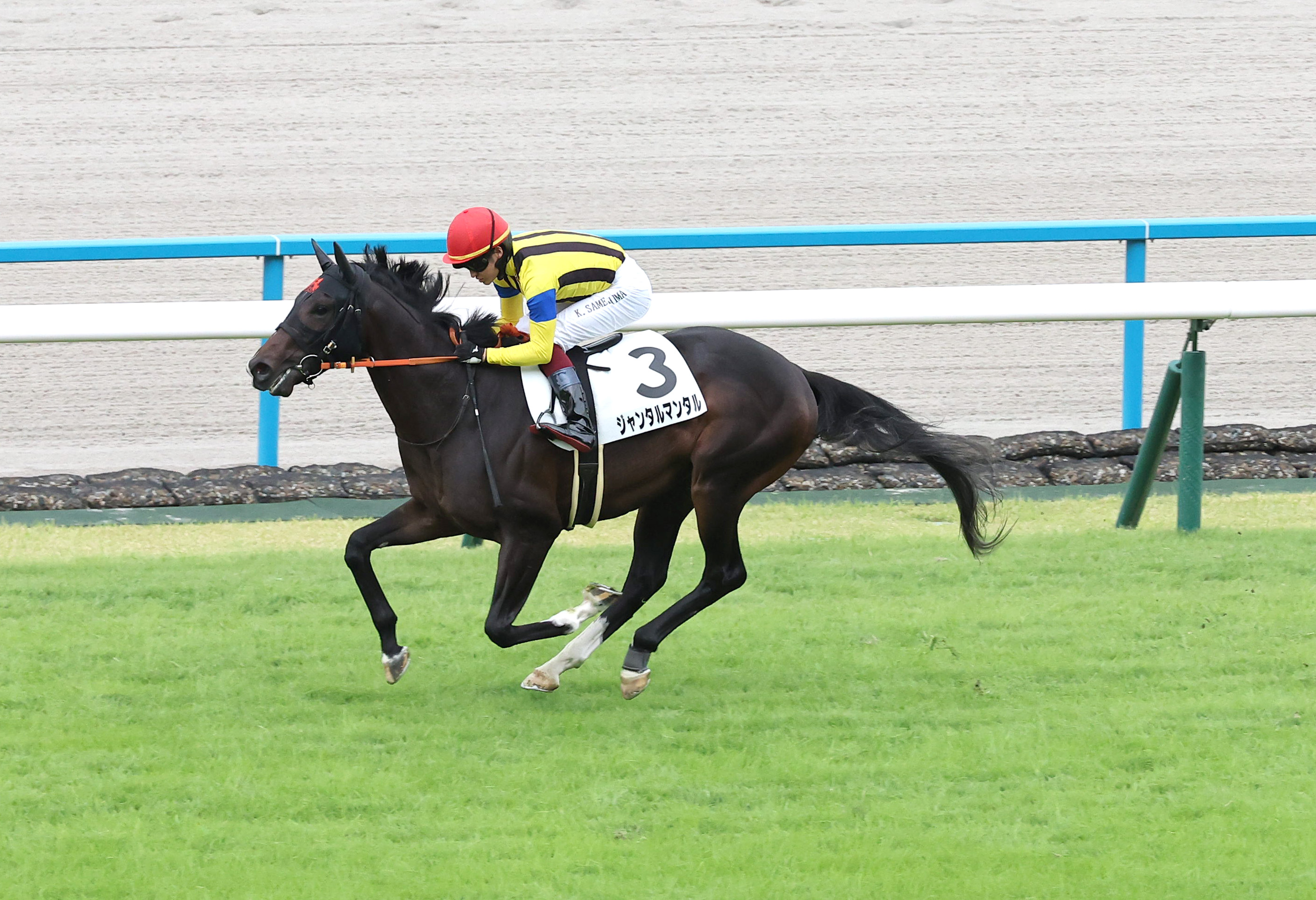 【２歳新馬・京都５Ｒ】ジャンタルマンタルが楽々抜け出し２馬身 ...