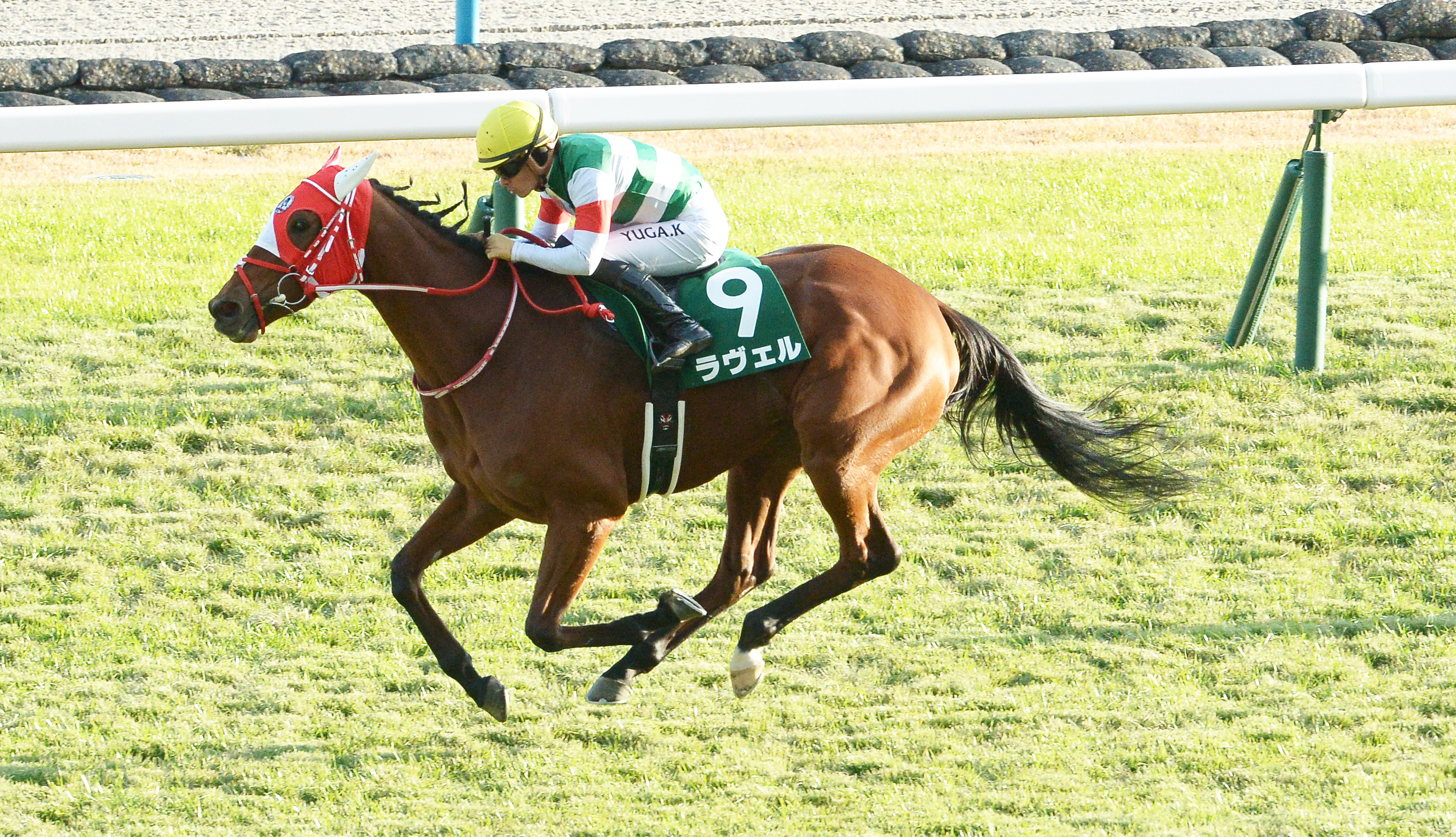 社台グループ繁殖牝馬名鑑2003〜2018（16冊） 2018年2月版 社台グループ繁殖牝馬名簿 / 古本倶楽部株式会社