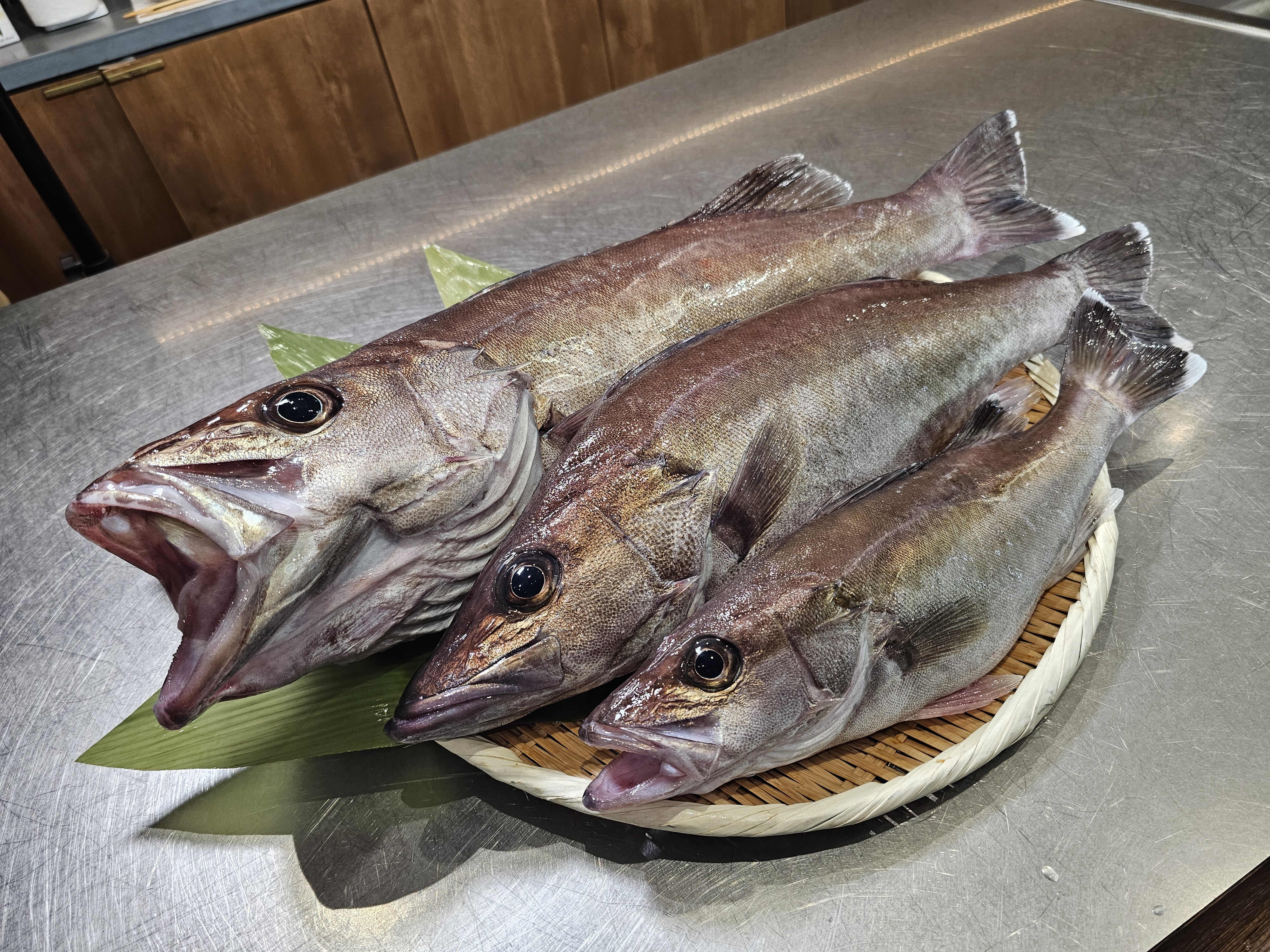 希少な深海魚アラの聖地・能登の海から、風化せぬ復興を願い続ける