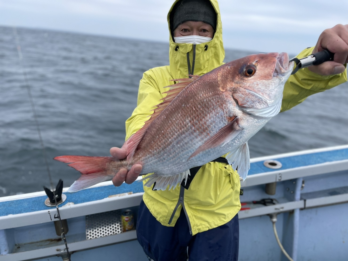 メバル4点掛け、サビキ釣りで計18尾／自慢SHOT - サンスポ