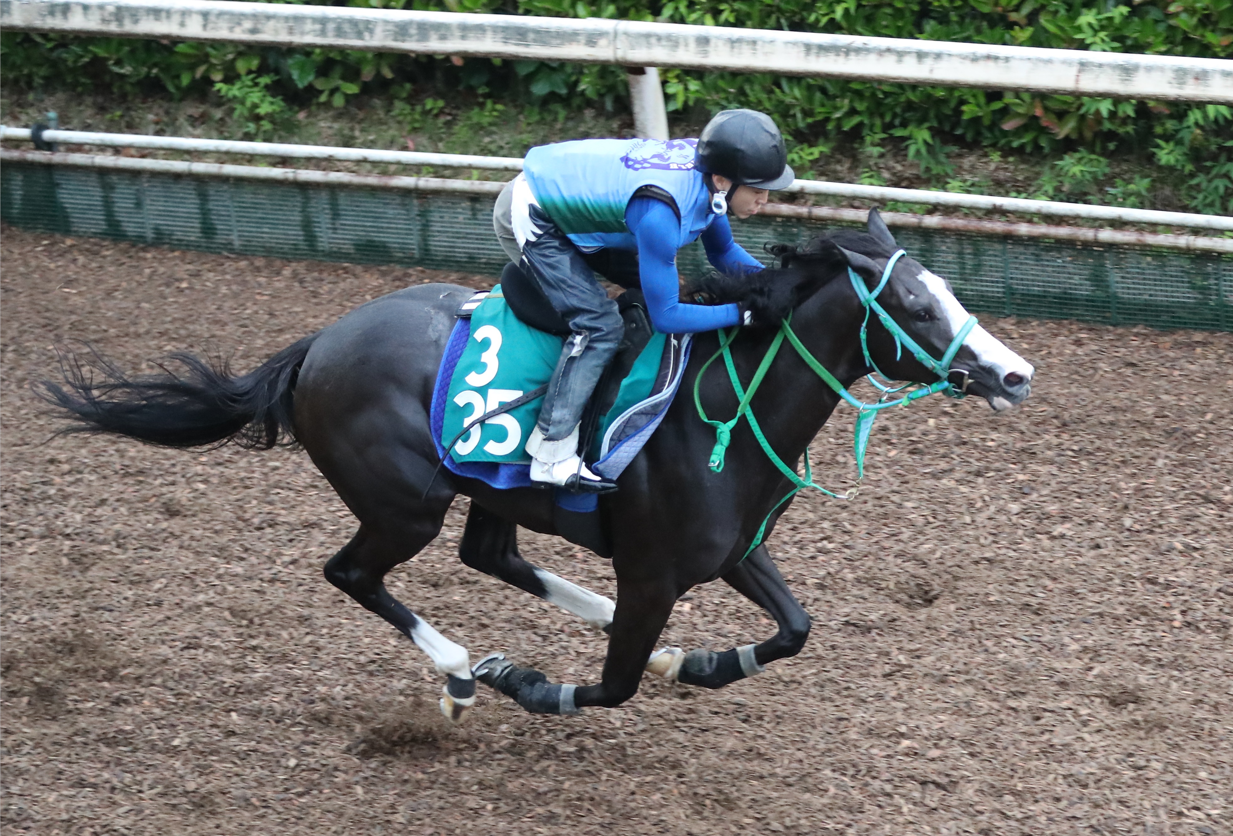 【今週の注目新馬】母と祖母が重賞馬のコートリーバウ 近親に