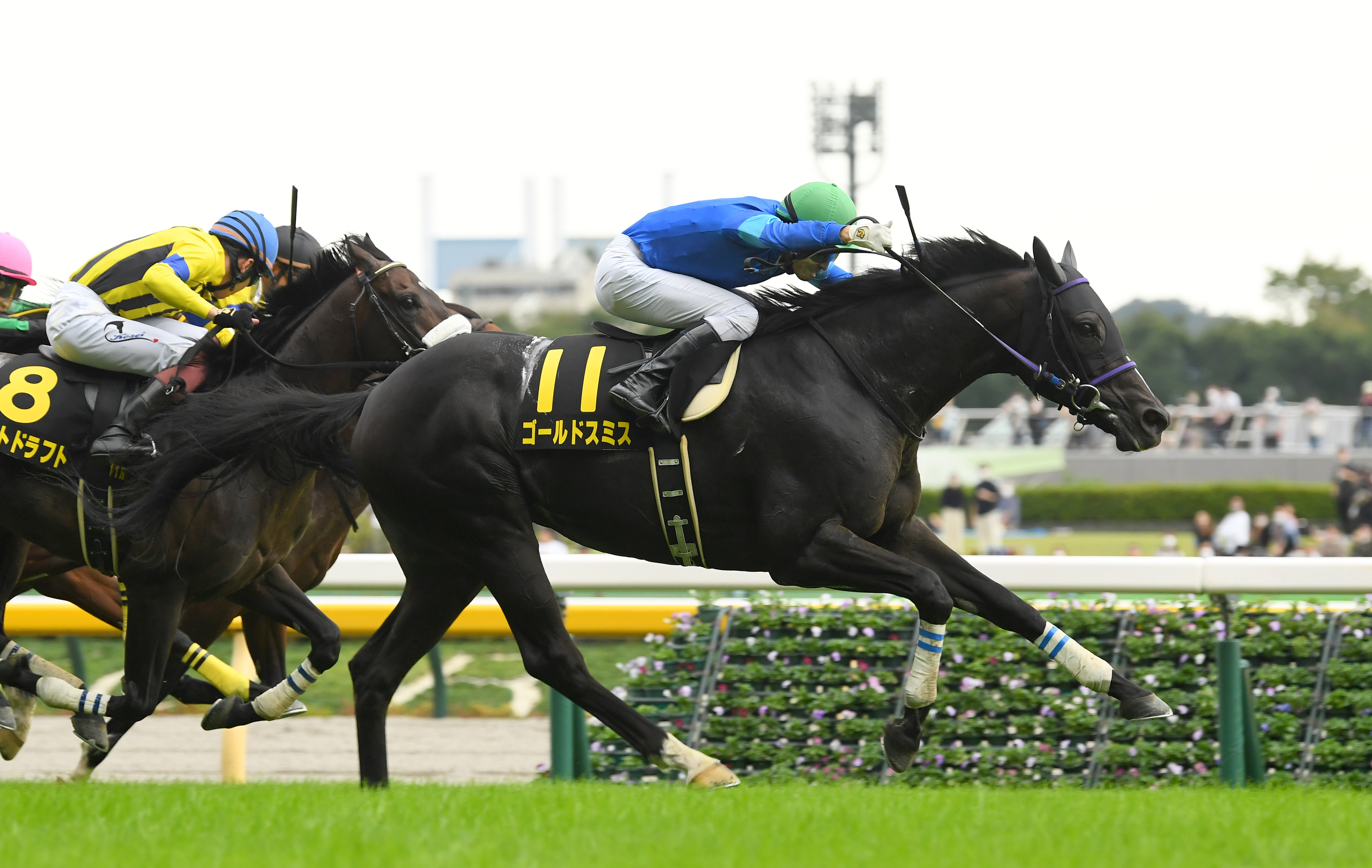 オクトーバーｓ ７番人気ゴールドスミスが差し切り 大野騎手 先につながる競馬ができた サンスポzbat