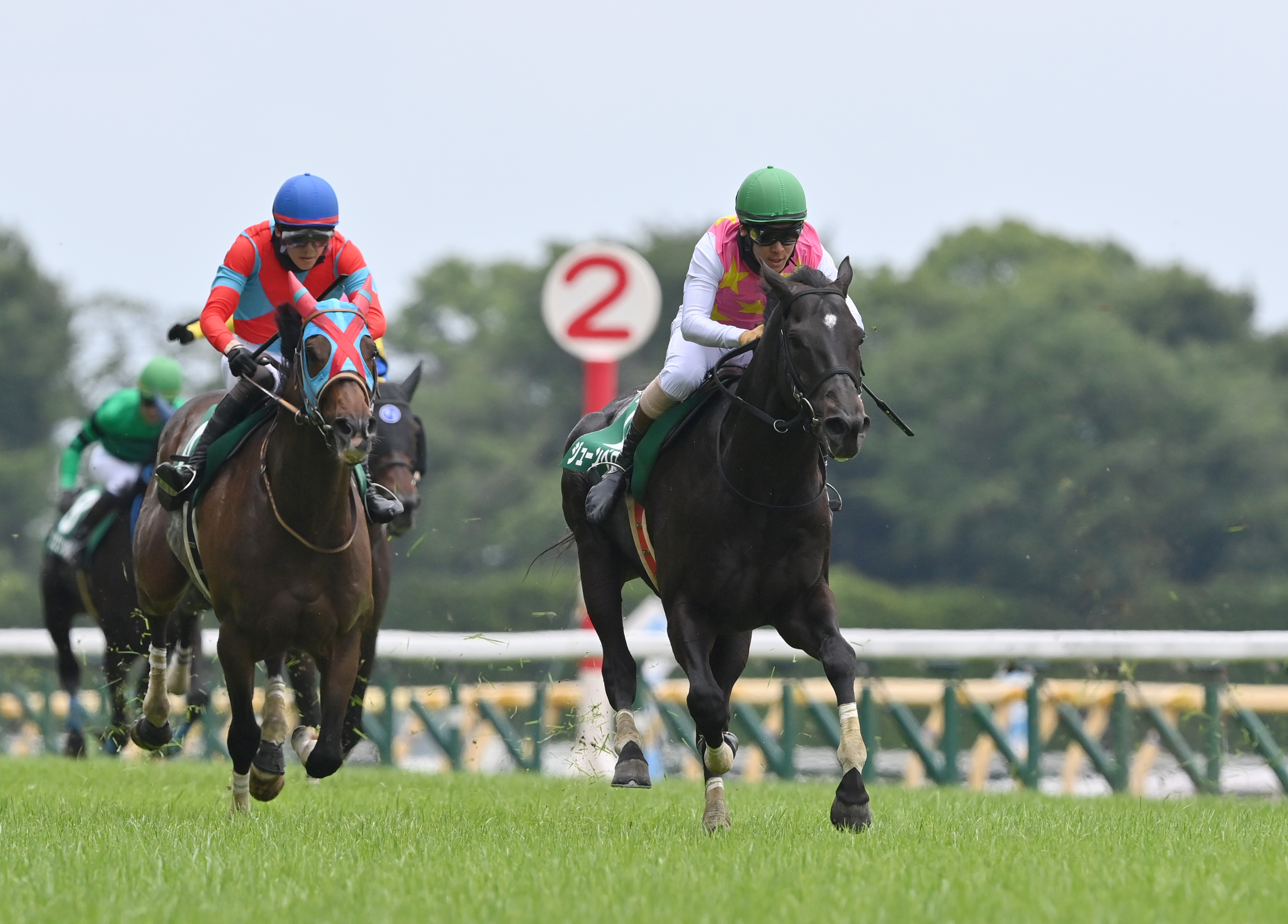 超希少エアシャカール＆モンジュー2000年キングジョージ現地的中単勝馬券 Idol Horseトップ5: 最も印象的な『キングジョージ』勝ち馬5選
