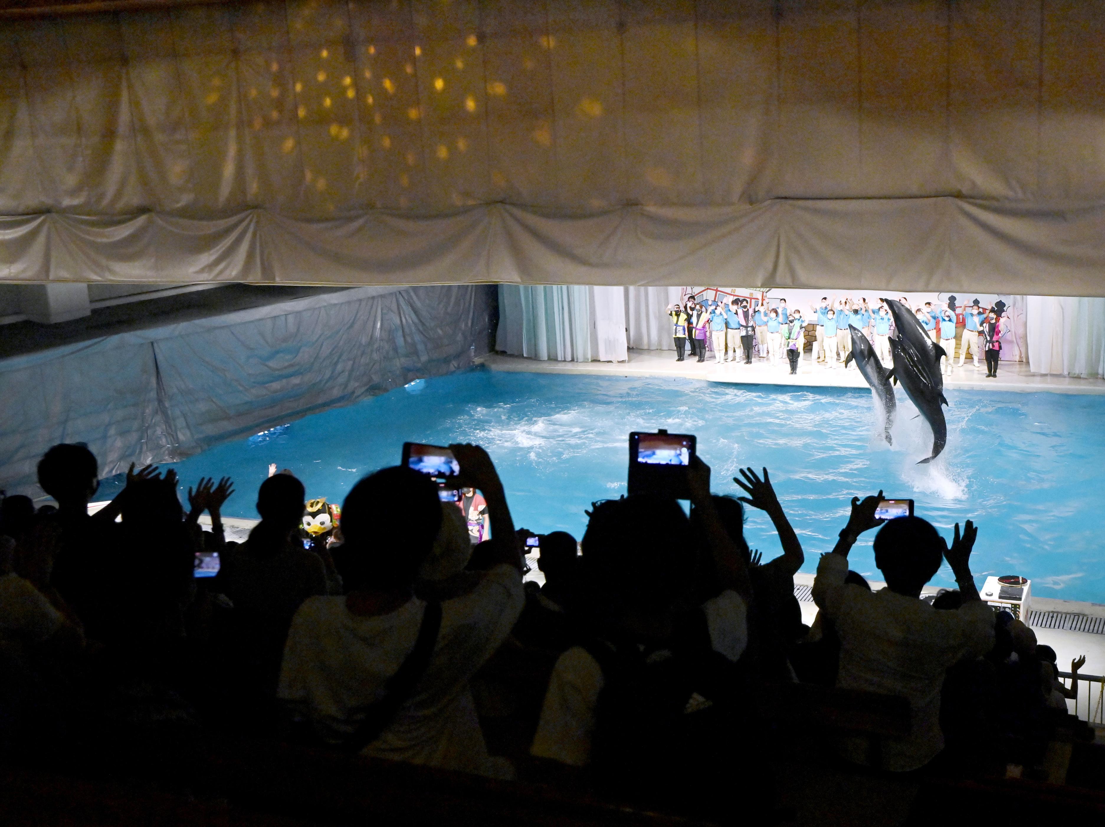 さよなら油壺マリンパーク ５３年の歴史に幕、神奈川・三浦 - 産経