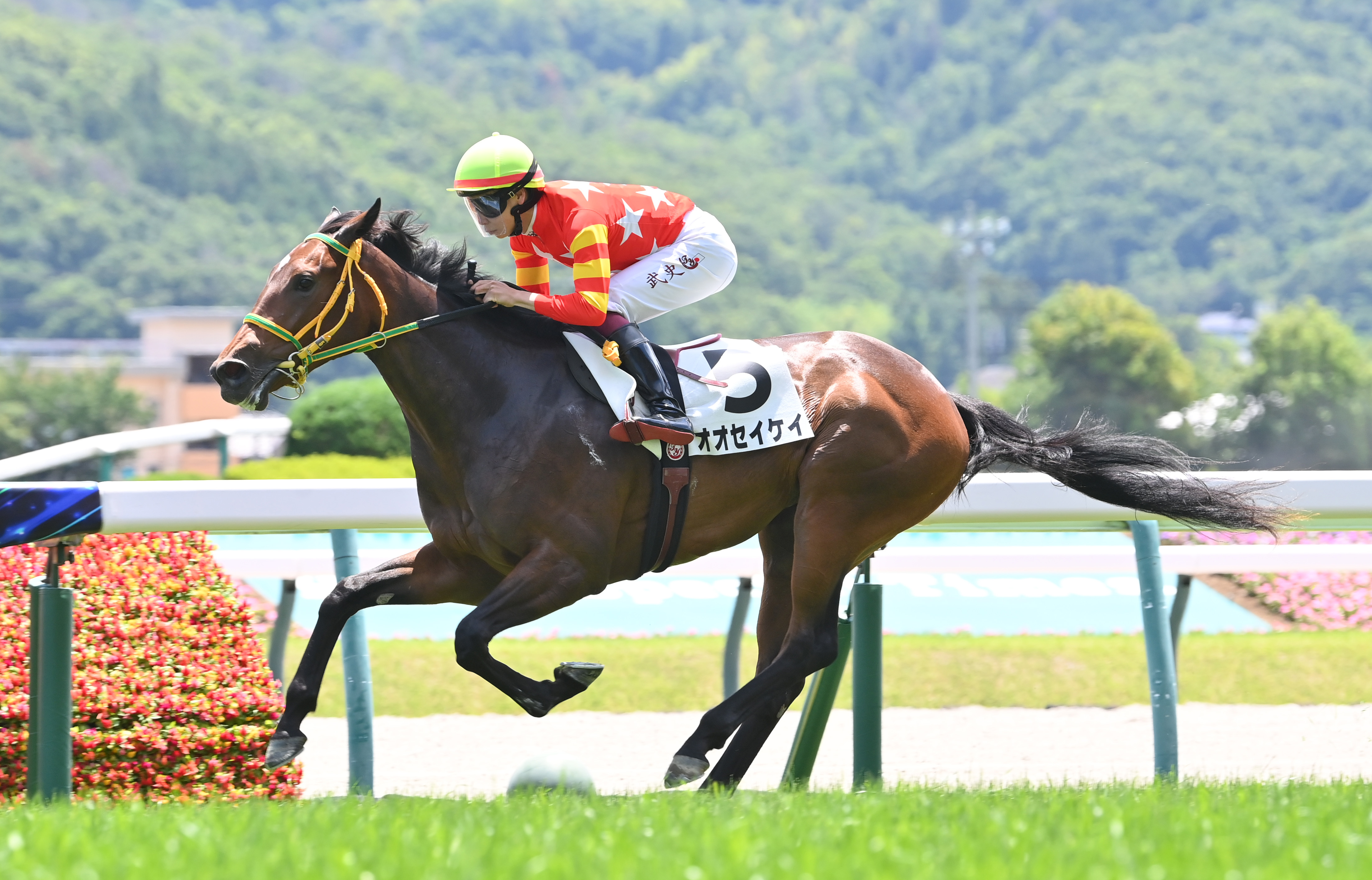 合馬！！ 2歳未勝利・福島3R】オオセイケイが2歳コースレコードV - サンスポZBAT!