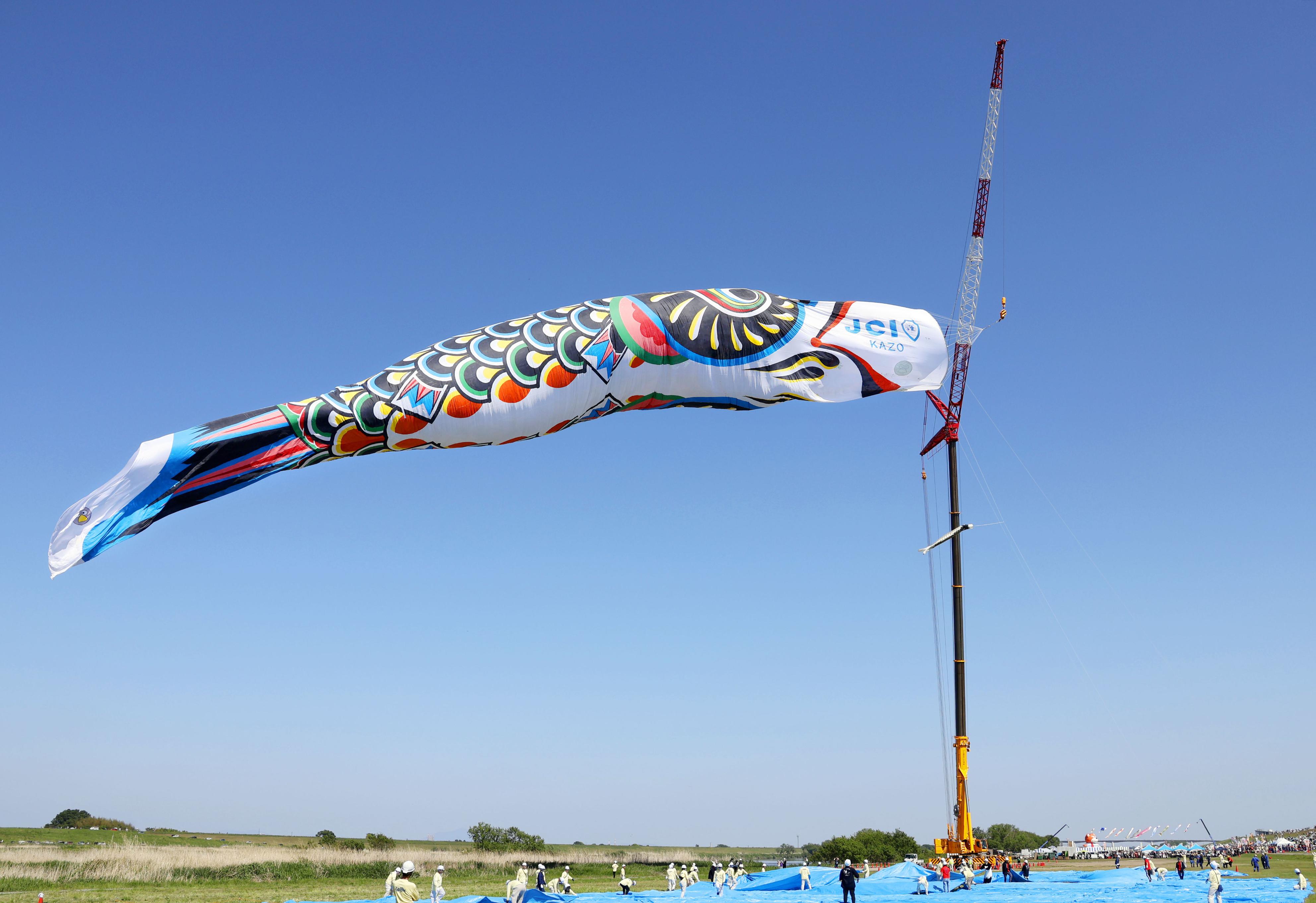 天空　鯉のぼり 楽天市場】【本格鯉のぼり】天空かなめ鯉3色セット・3m 庭園