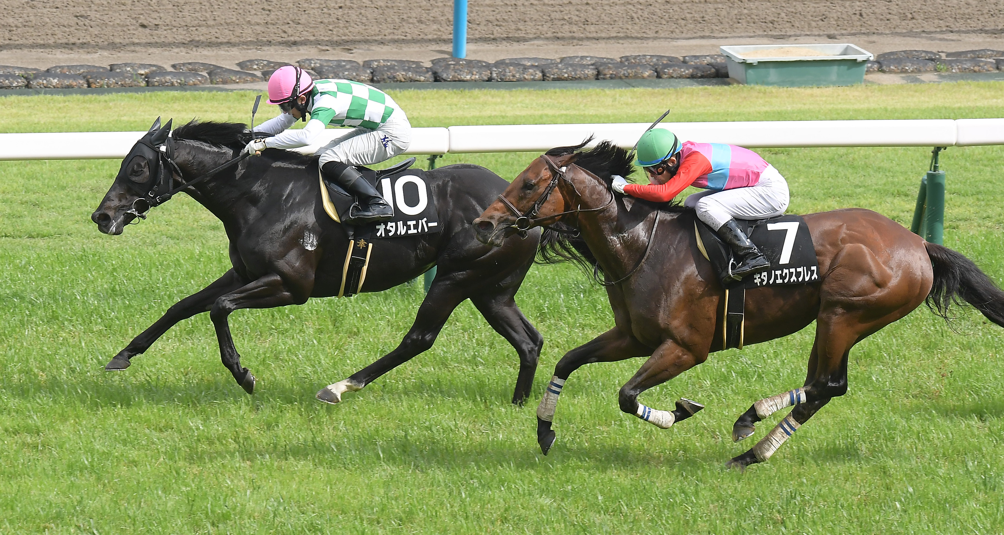 鞍馬S】8番人気オタルエバーが力強く抜け出しオープン2勝目！幸