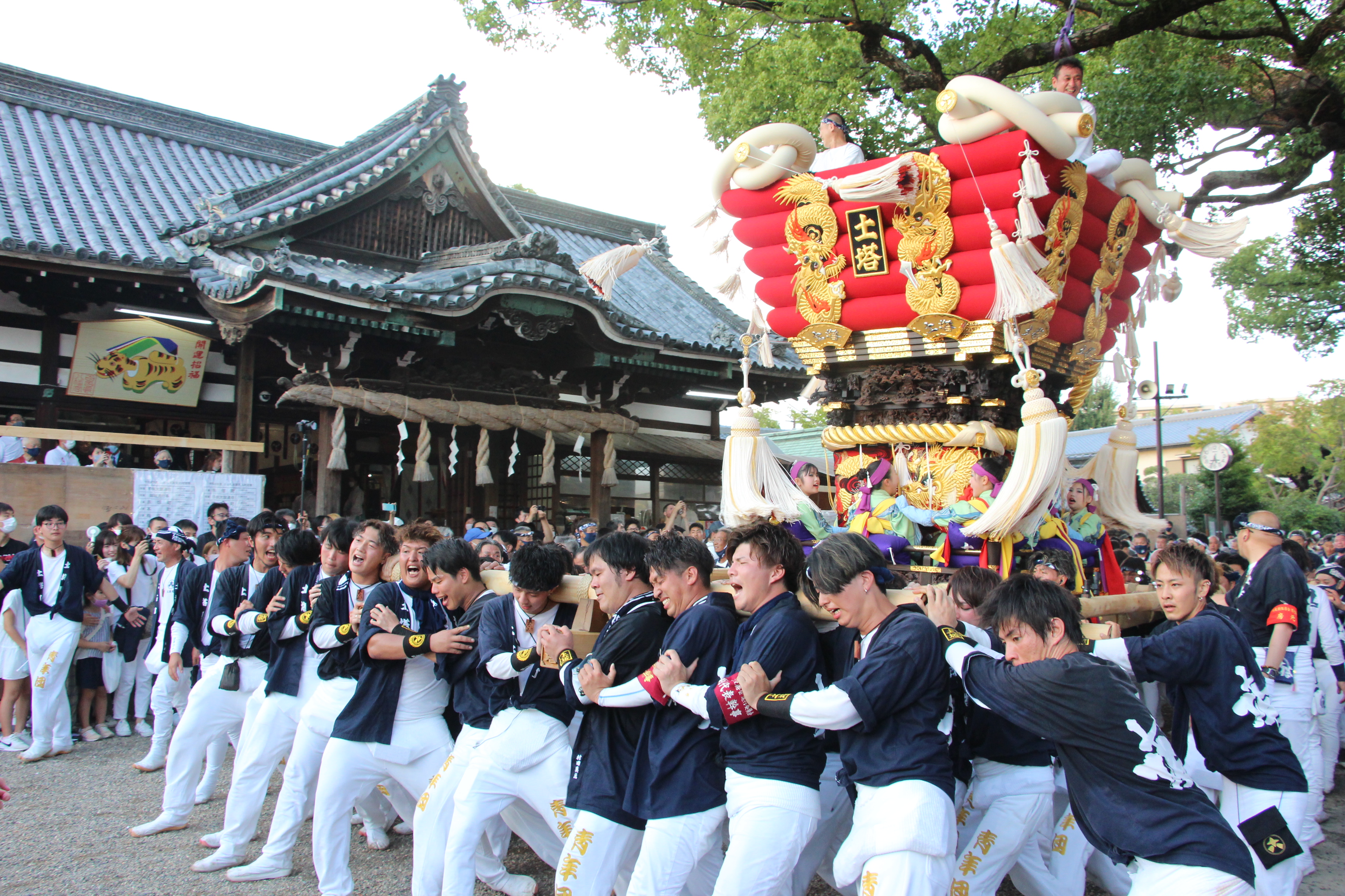 勇壮「ふとん太鼓」が3年ぶりに繰り広げられる 堺・百舌鳥八幡宮の月 